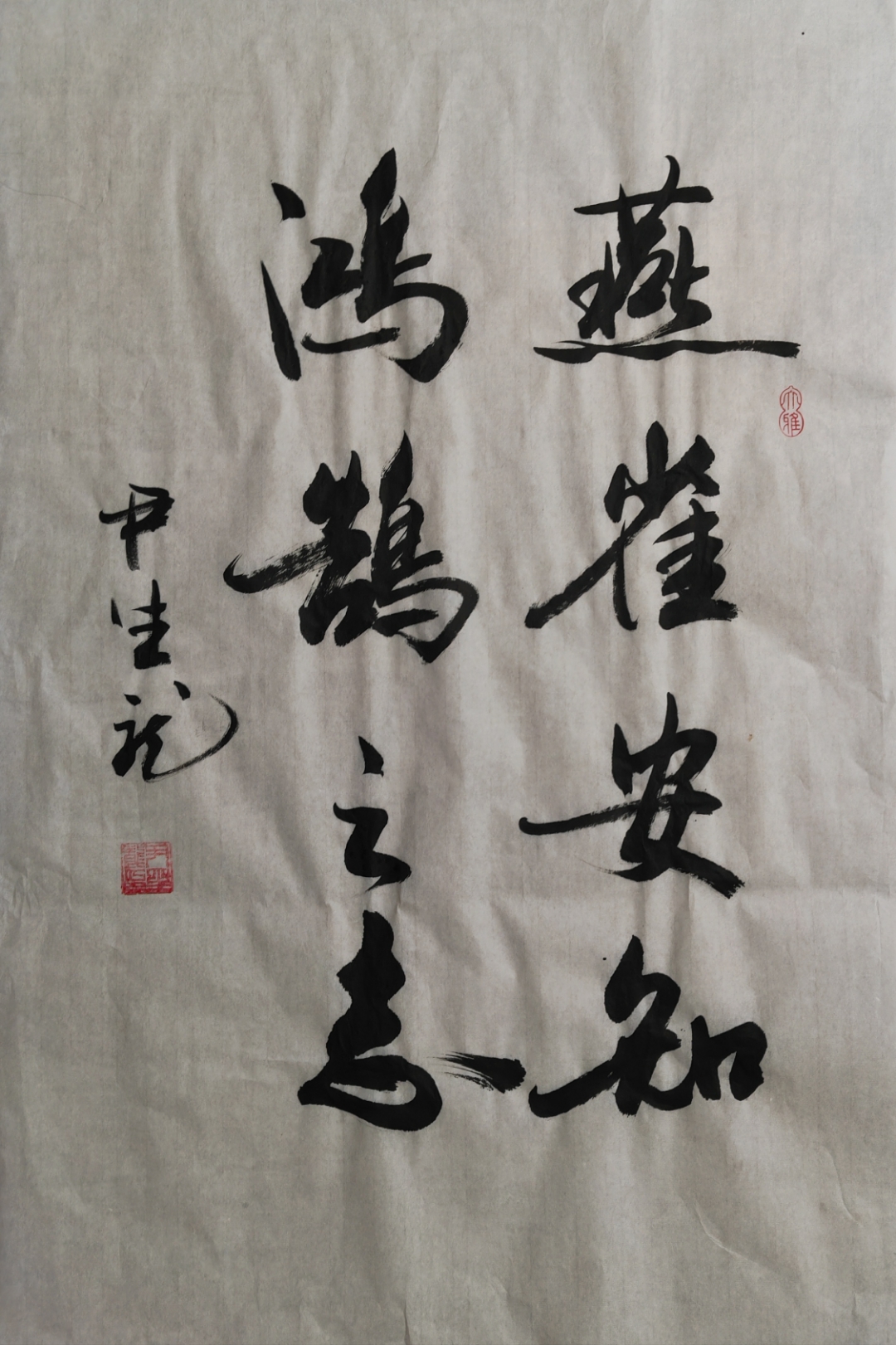 燕雀安知鸿鹄之志