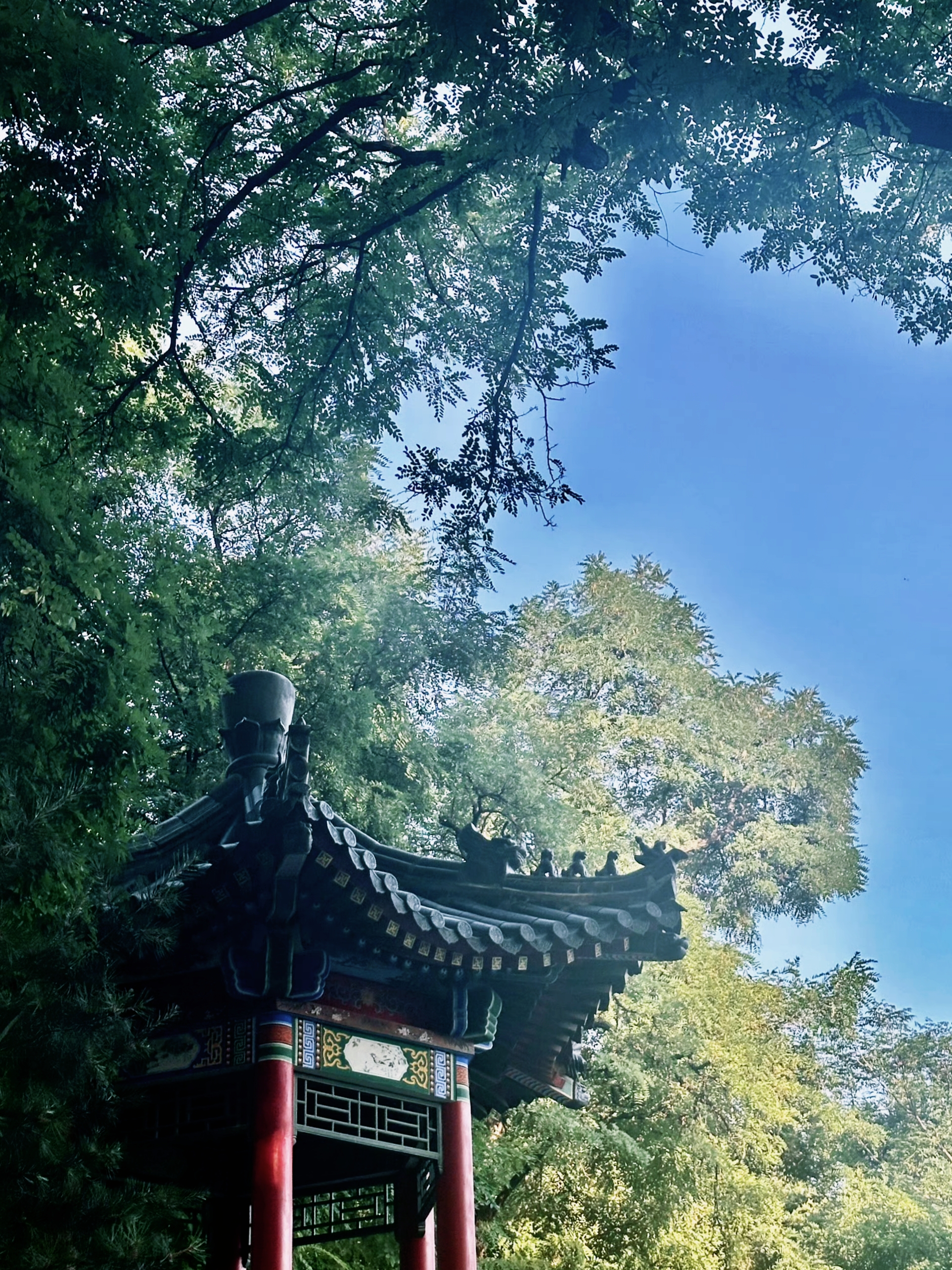 莲湖公园建在唐代宫城"承天门"的遗址上,是西安历史最悠久的公园.