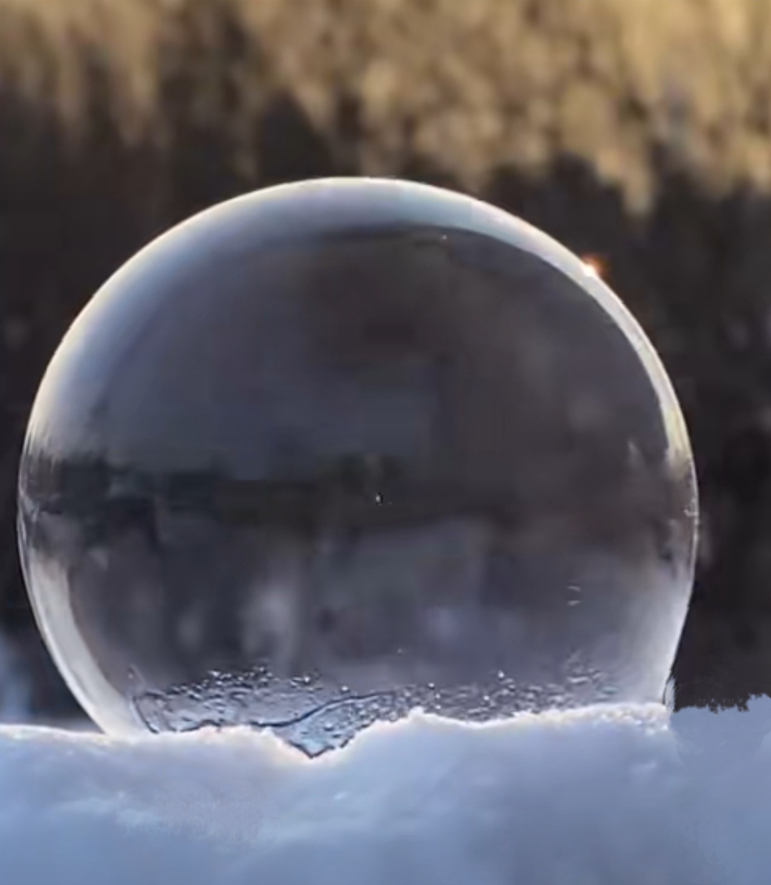 今天立冬了,分享大家一组图片,是肥皂泡慢慢结冰的过程,有点神奇.