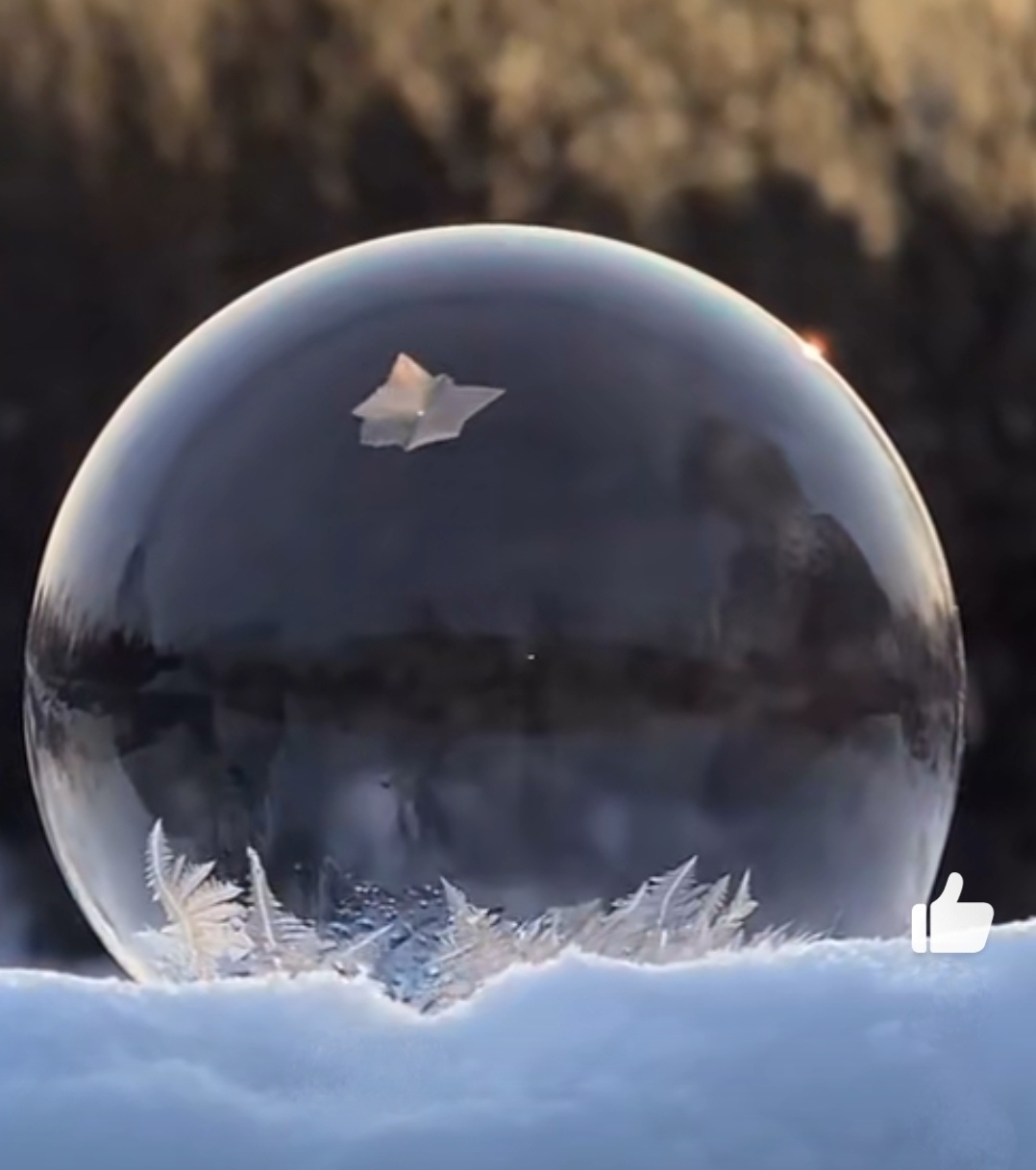 今天立冬了,分享大家一组图片,是肥皂泡慢慢结冰的过程,有点神奇.