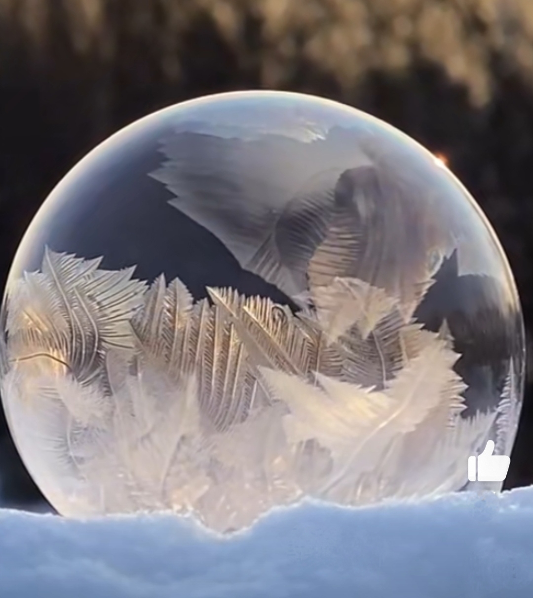 今天立冬了,分享大家一组图片,是肥皂泡慢慢结冰的过程,有点神奇.