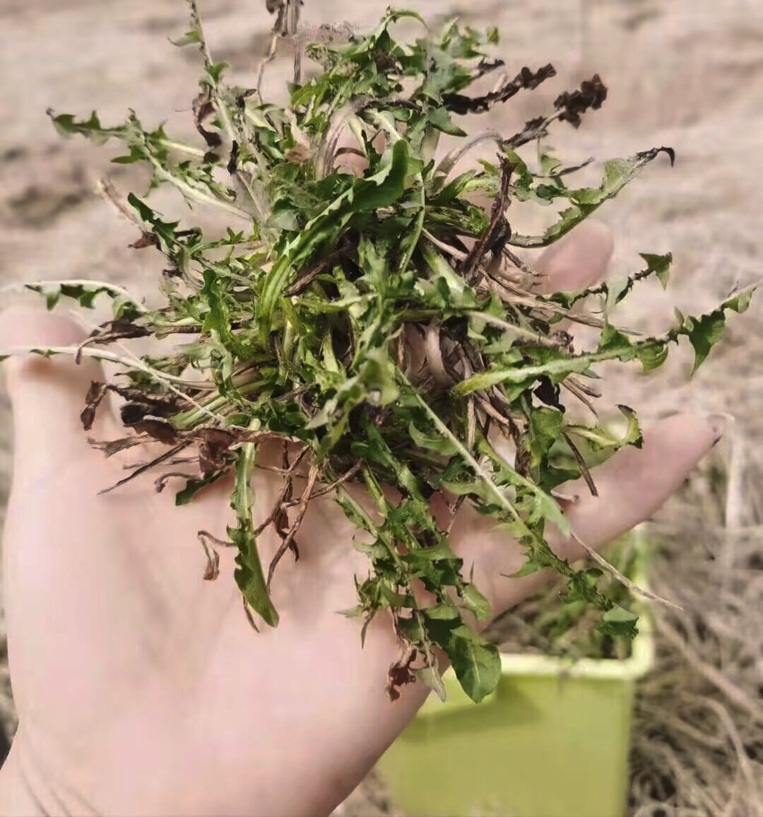 如果,你厌倦了尘世的喧嚣与忙碌,不妨走出去,在大自