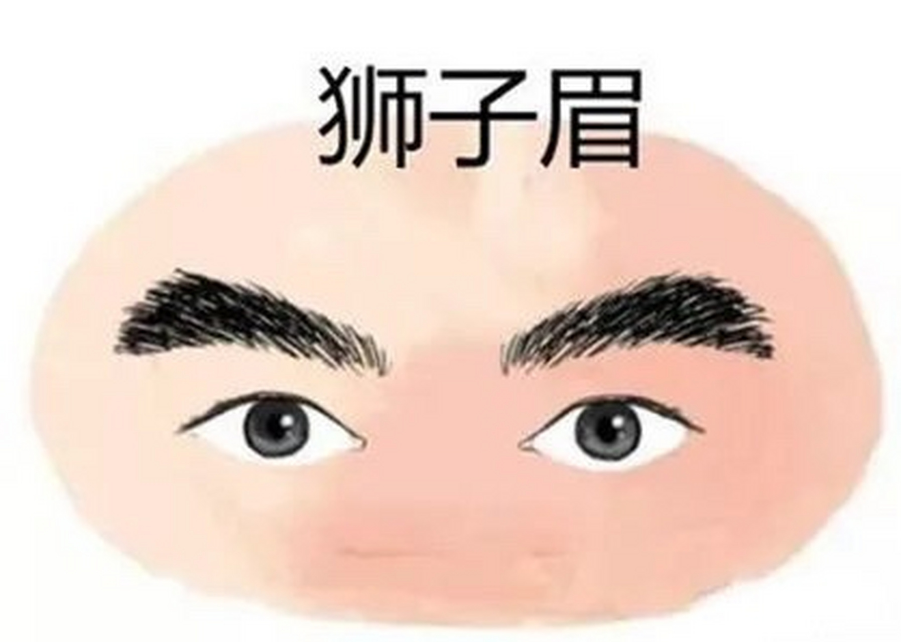 狮子眉的男人面相图片