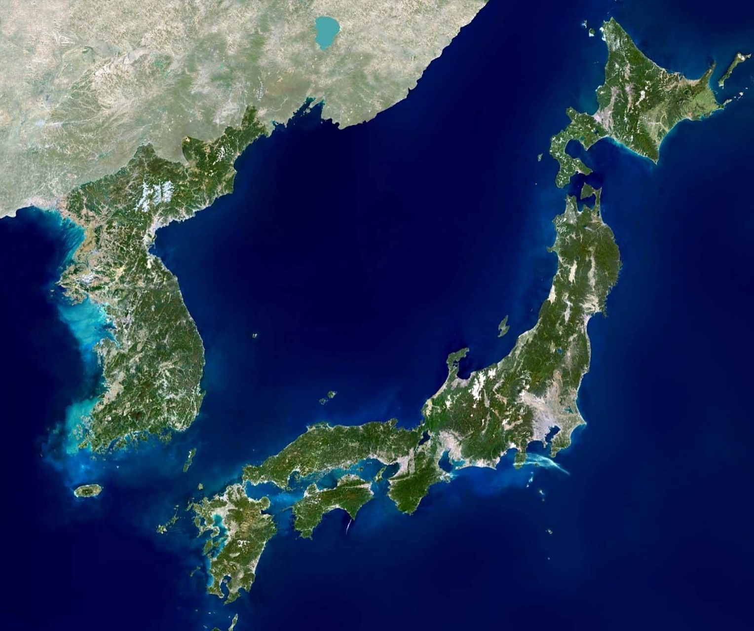 日本的对外政策跟国土形状一样,超像一条"虫".