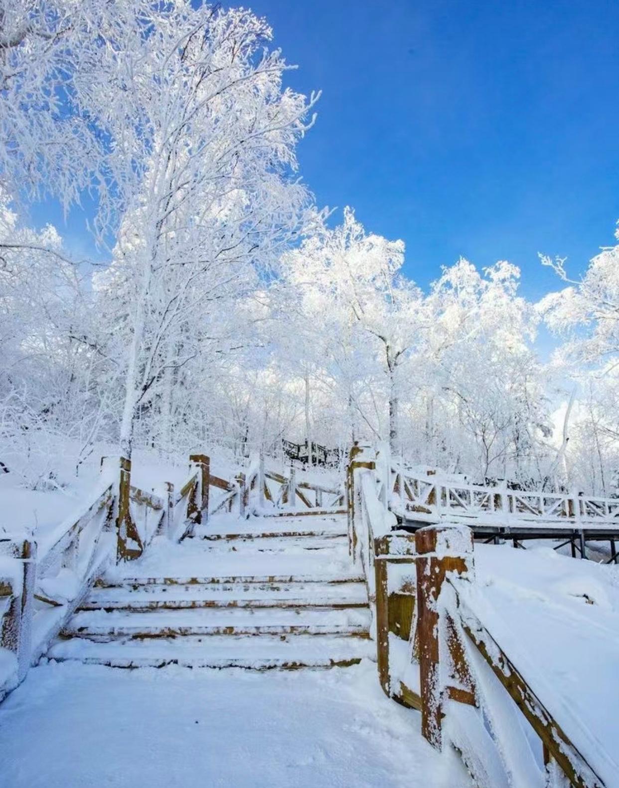 长白山雪岭风景区,我带您去