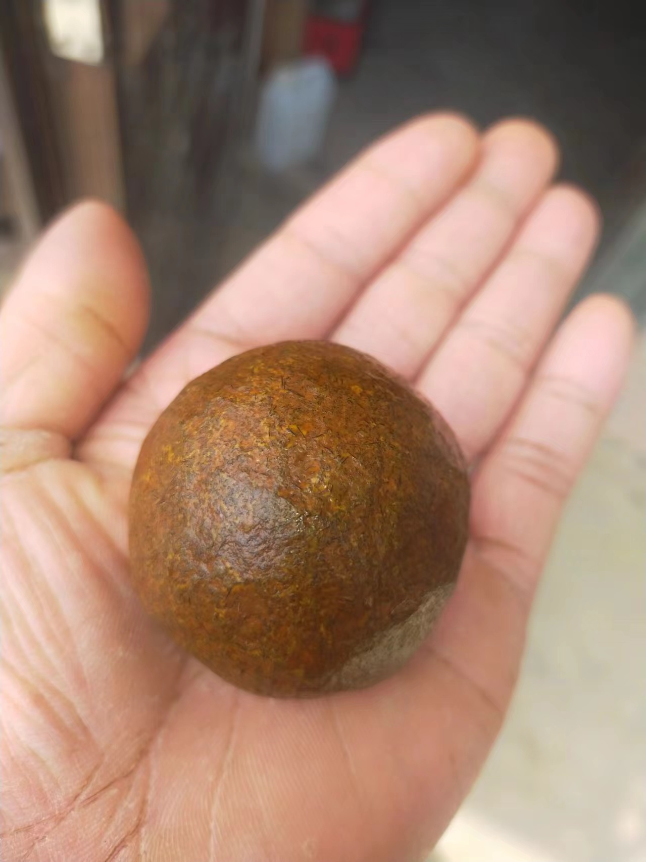 羊宝需要的联系我