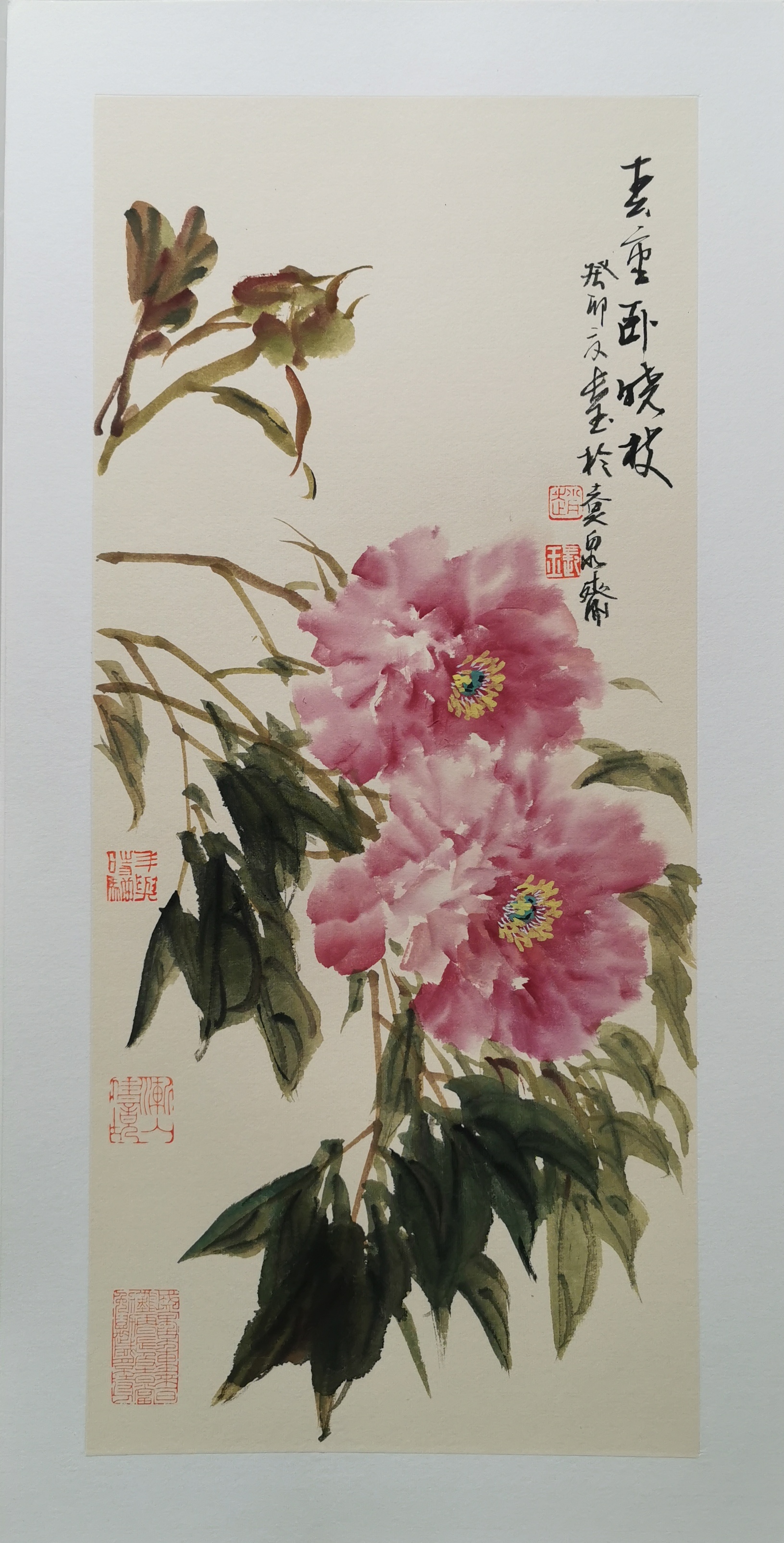 今天收到了赵长玉的写意牡丹小品,简直美到心扉!