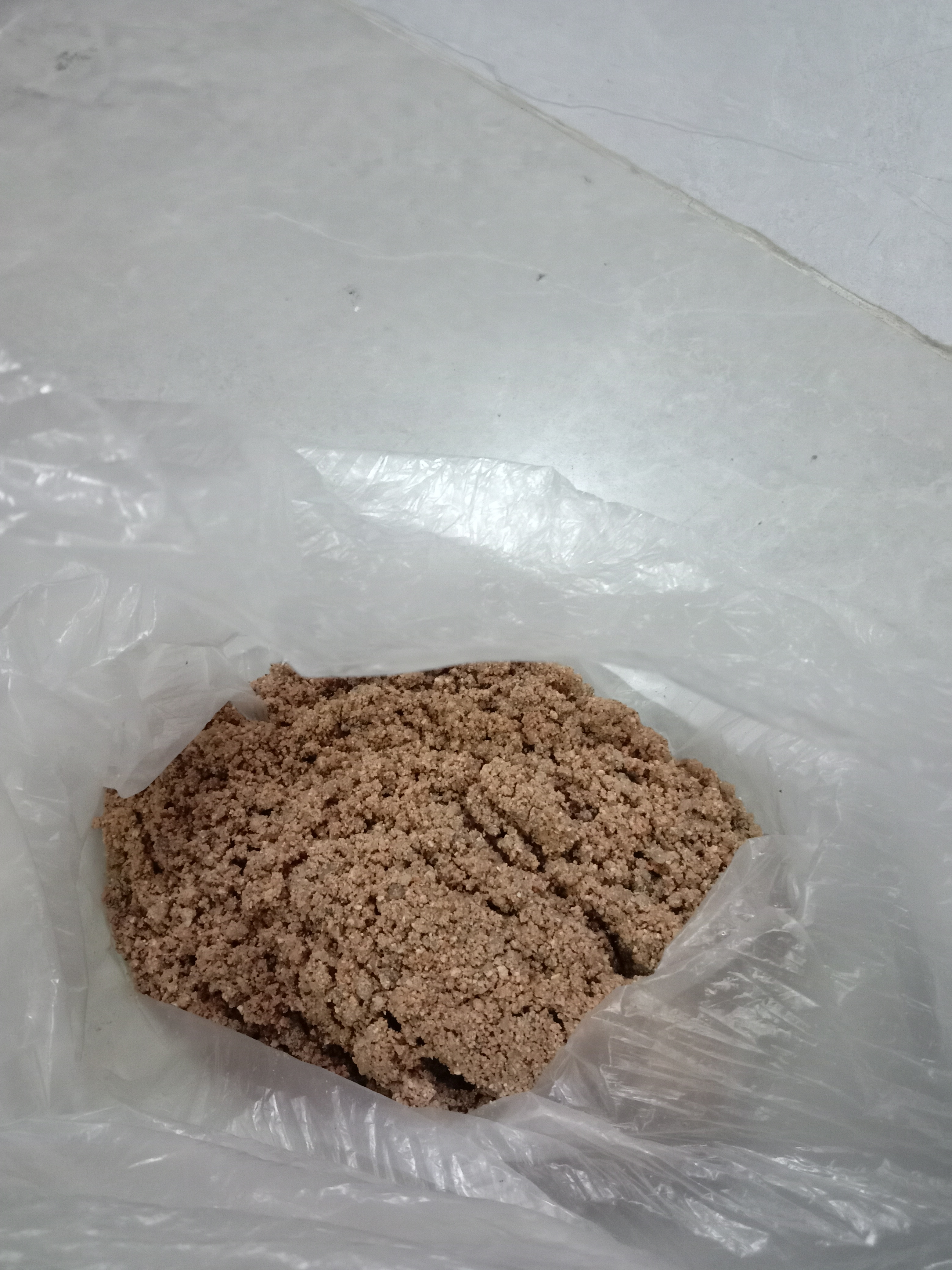 弄了一点沙子,给小甲鱼过冬用,之前四只小甲鱼只剩下两只,都是降温的