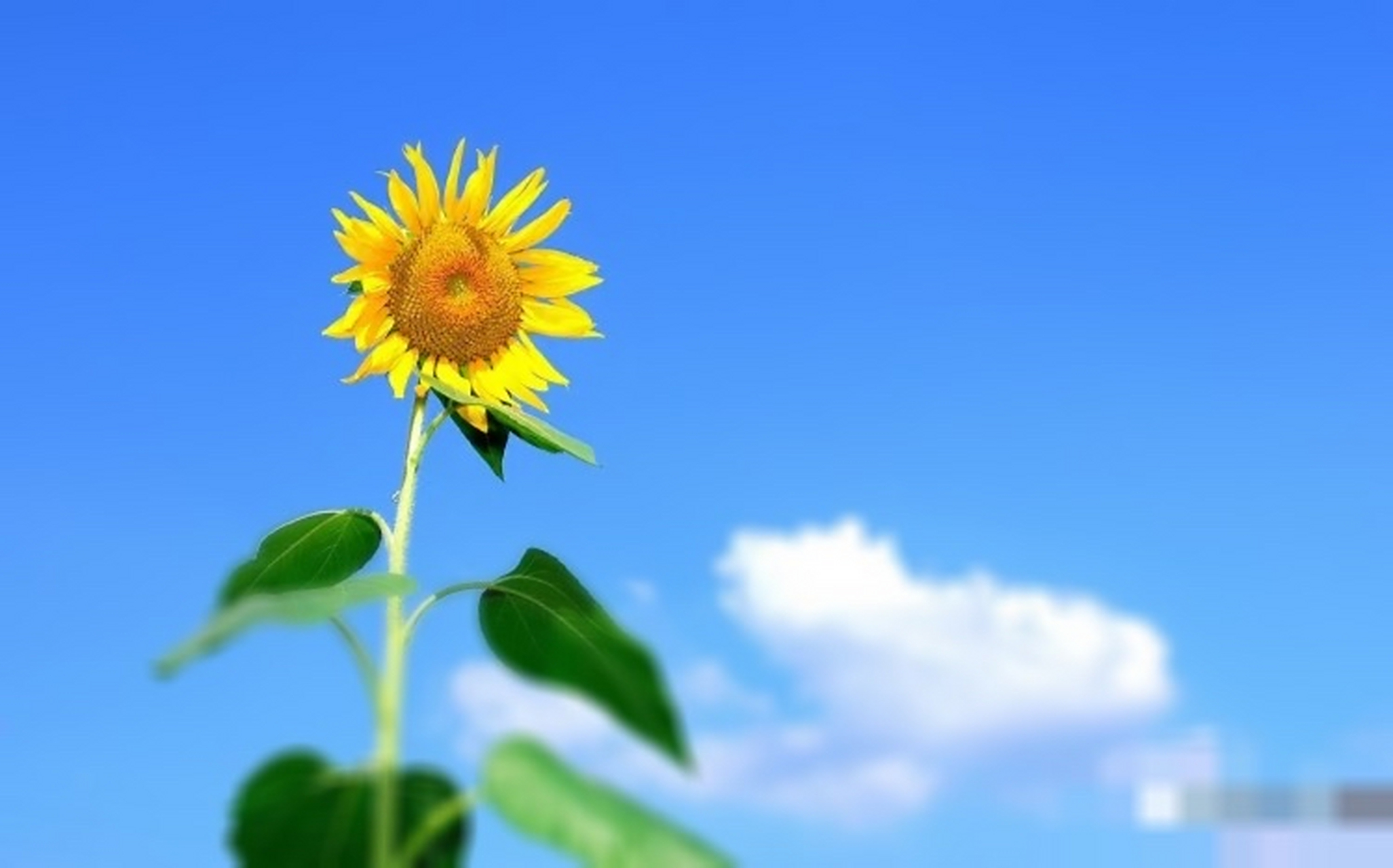 宫崎骏在《千与千寻》里写:"我相信这世界上,有些