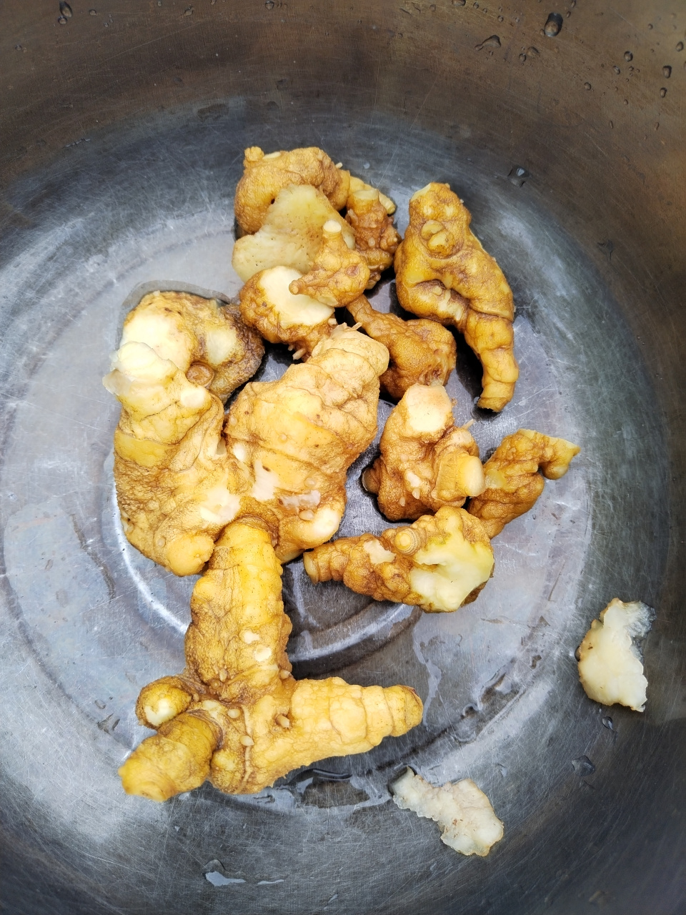 山坡上挖的,野生的老虎姜,有多少人吃过?