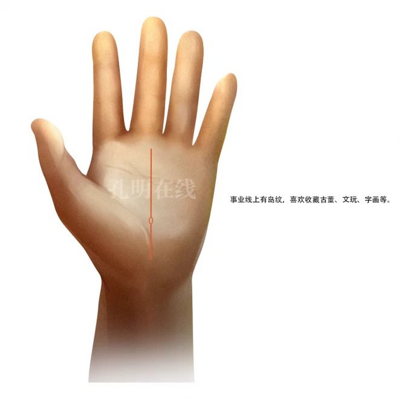 事业线岛纹  事业线出现明显的岛纹,喜欢收藏东西,看相请私作者.