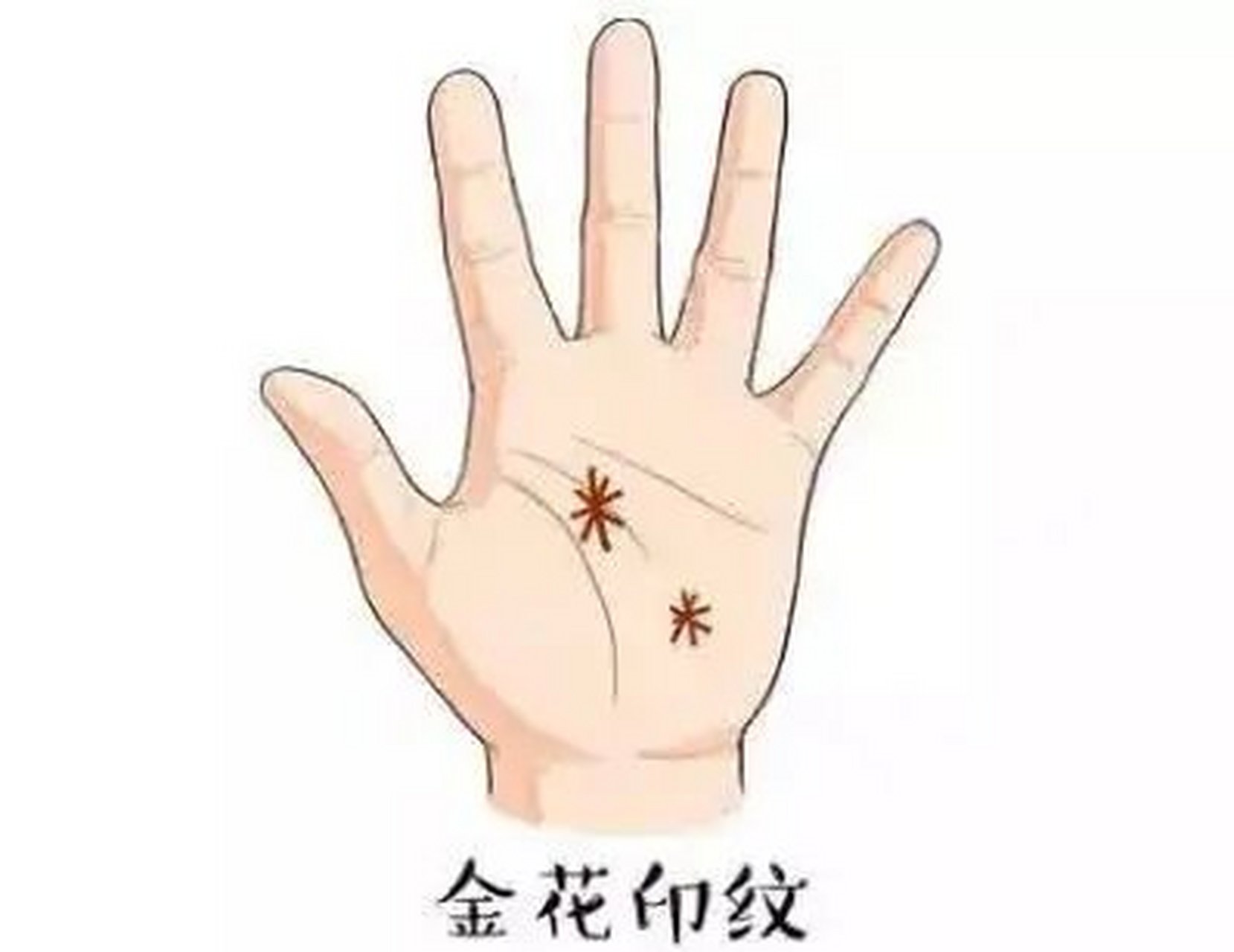 金花印纹  手掌上的金花印纹,手掌上的两个米字纹并排而立.