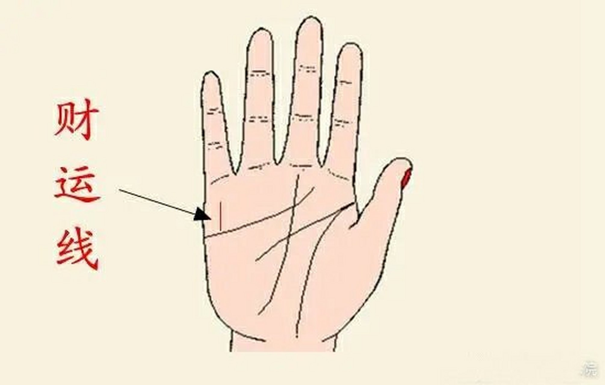 财运线【六秀纹】清晰  六秀纹在西洋手相又称"成功线","太阳线".