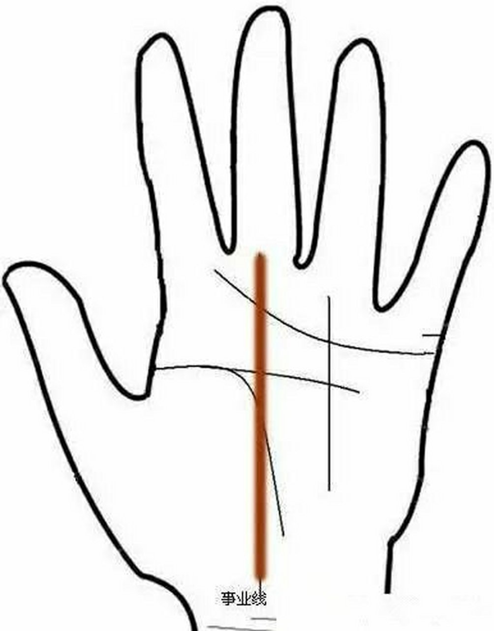 事业线事业线又名冲卦纹(土,水形掌才称之),冲天纹,玉柱纹,天喜纹文笔