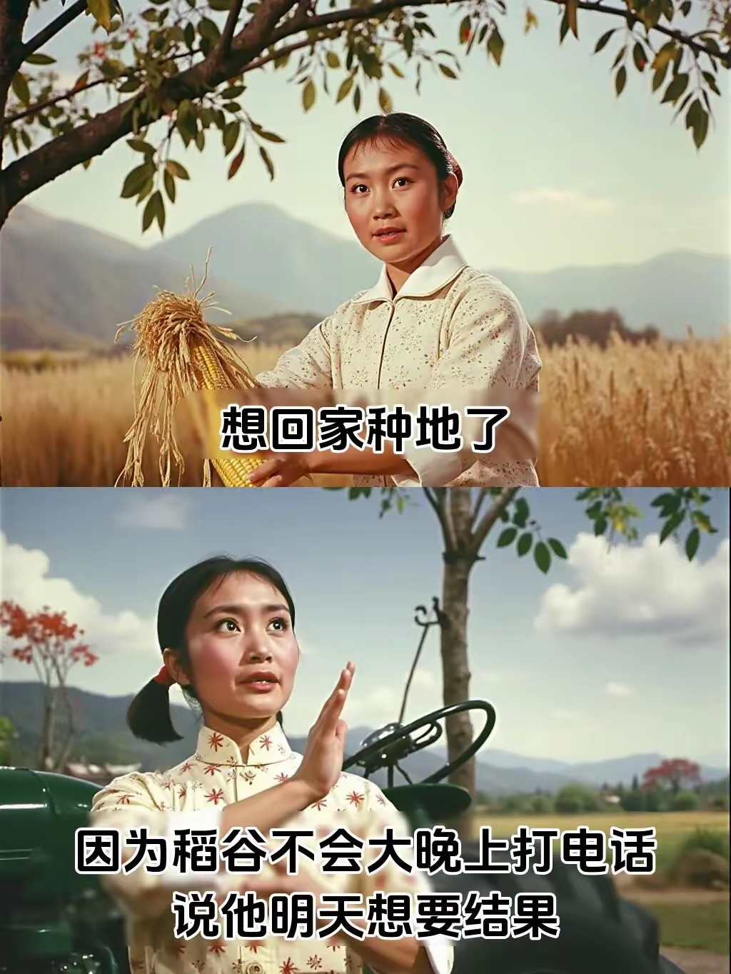 想回家种地了,因为水稻不会半夜打电话骂我