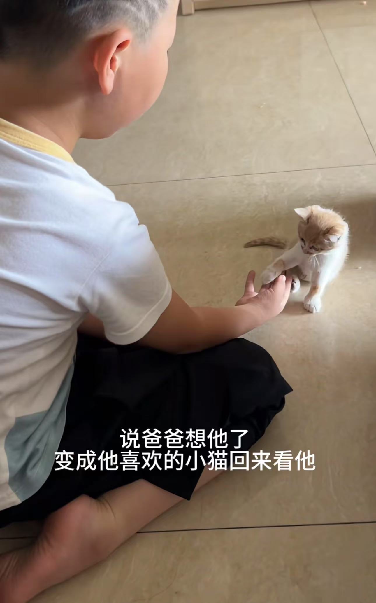 河南父亲因病去世2年多儿子睡觉做梦梦见爸爸变成了一只猫