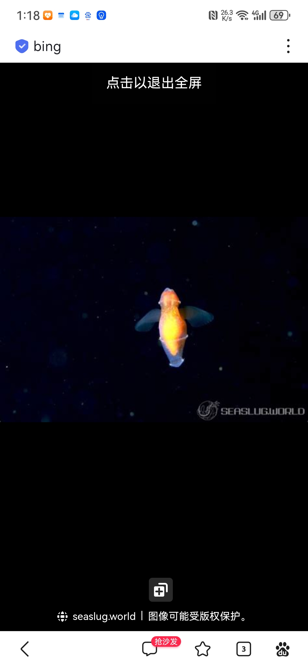 我们对所谓的"海蝴蝶"和"海天使"究竟了解多少?