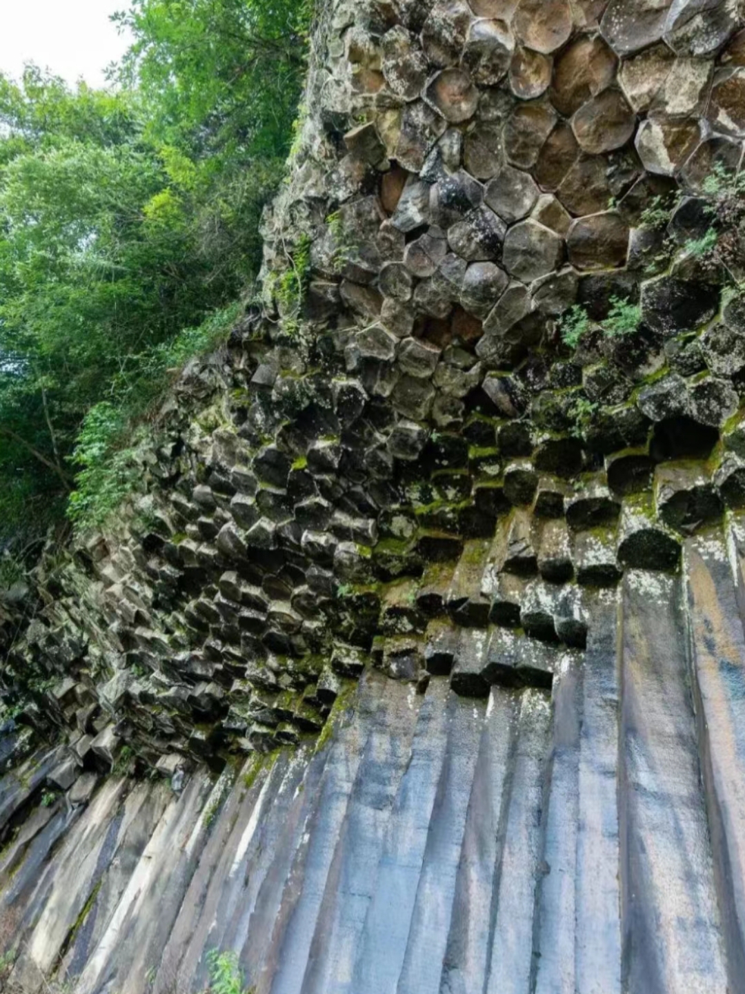 玄武岩柱状节理是"比较均质的岩浆在冷凝过程中,由于均匀的冷却,收缩
