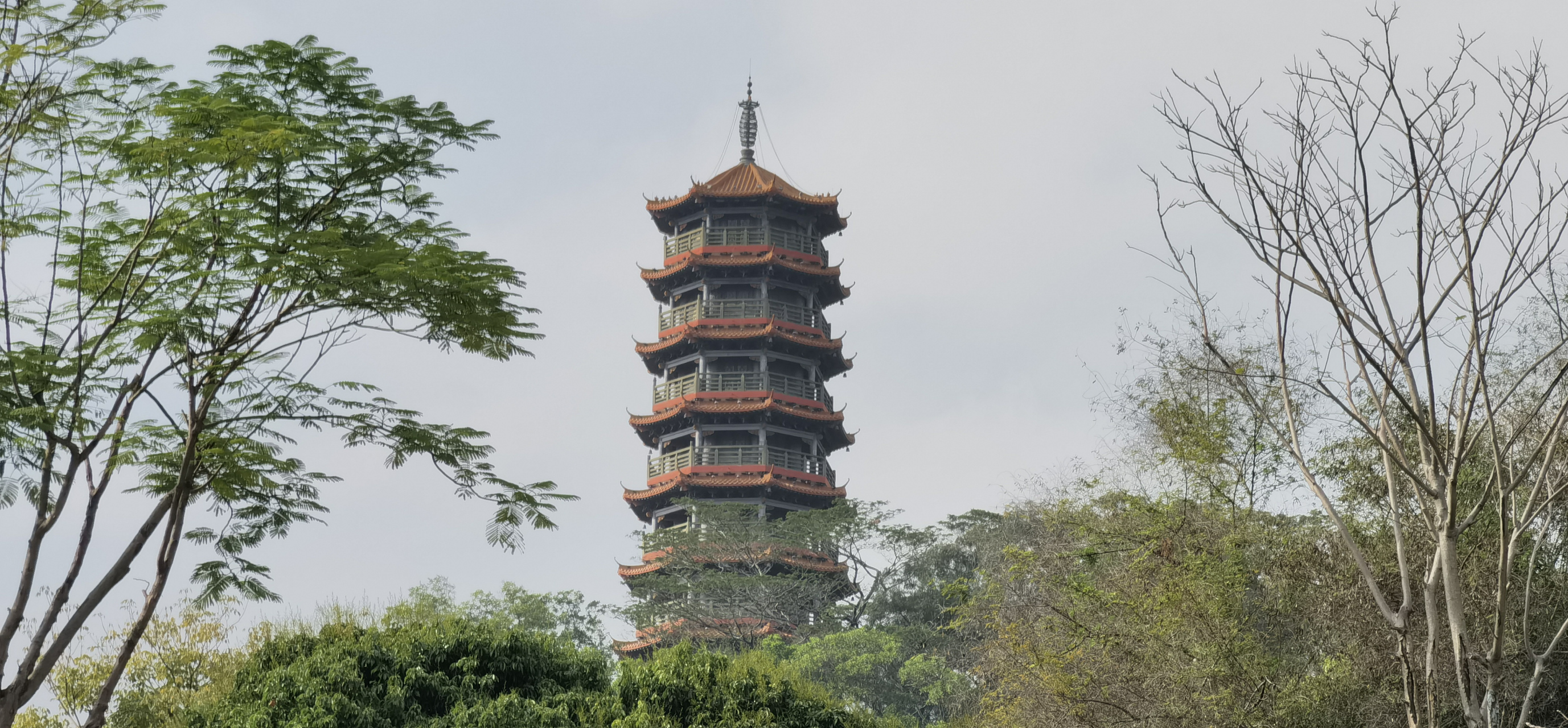深圳公明红花山公园!旅行摄影!分享给大家!