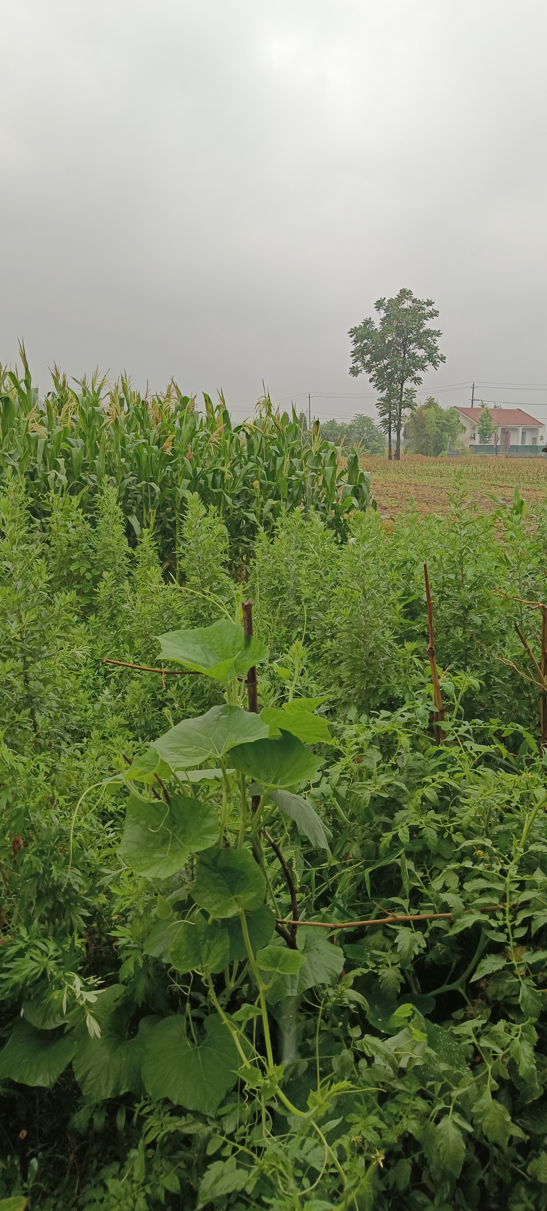 探索田野的秘境,感受大自然的魅力!
