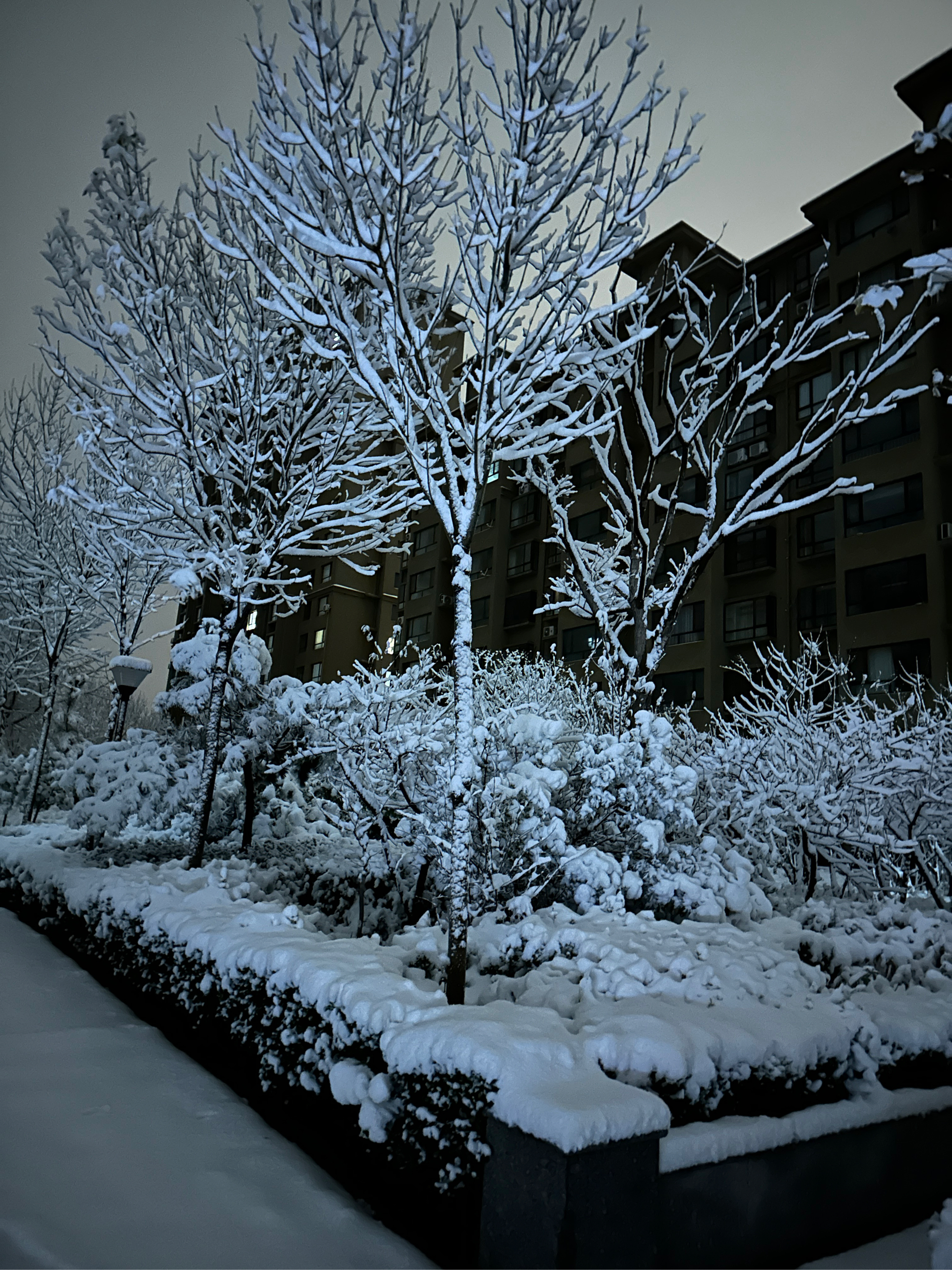 下雪的图片实景手机图片