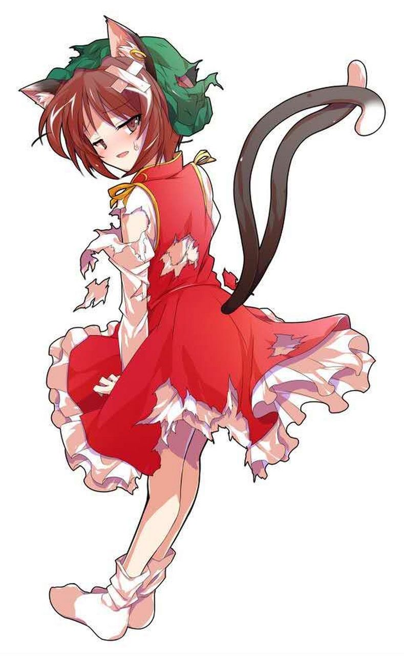 黄昏绘橙喵爆衣版本[三哈](画师:dairi)