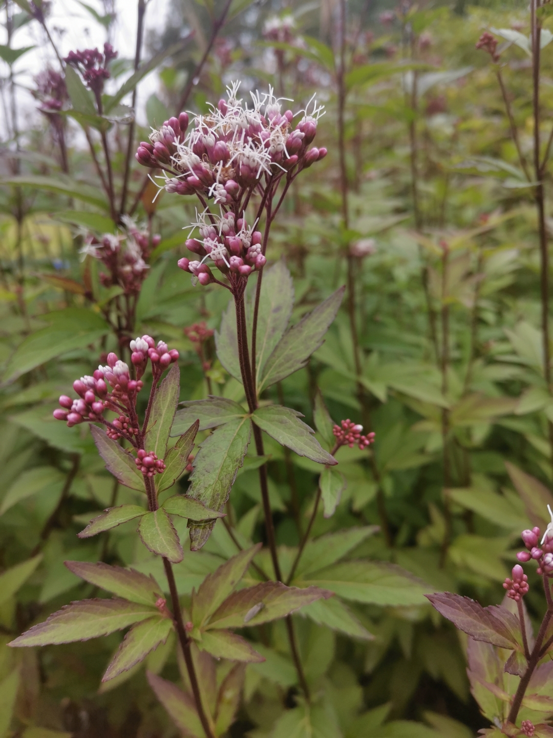 不要让家庭成为权力斗争的修罗场 家庭里,消耗家人