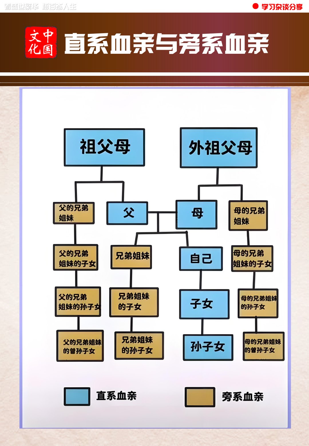 盛世聚华语,探秘直系旁系血亲关系网,解锁百态人生.#直系旁系血亲
