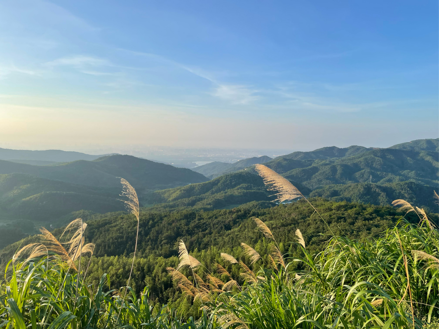 梅岭高路入云端图片