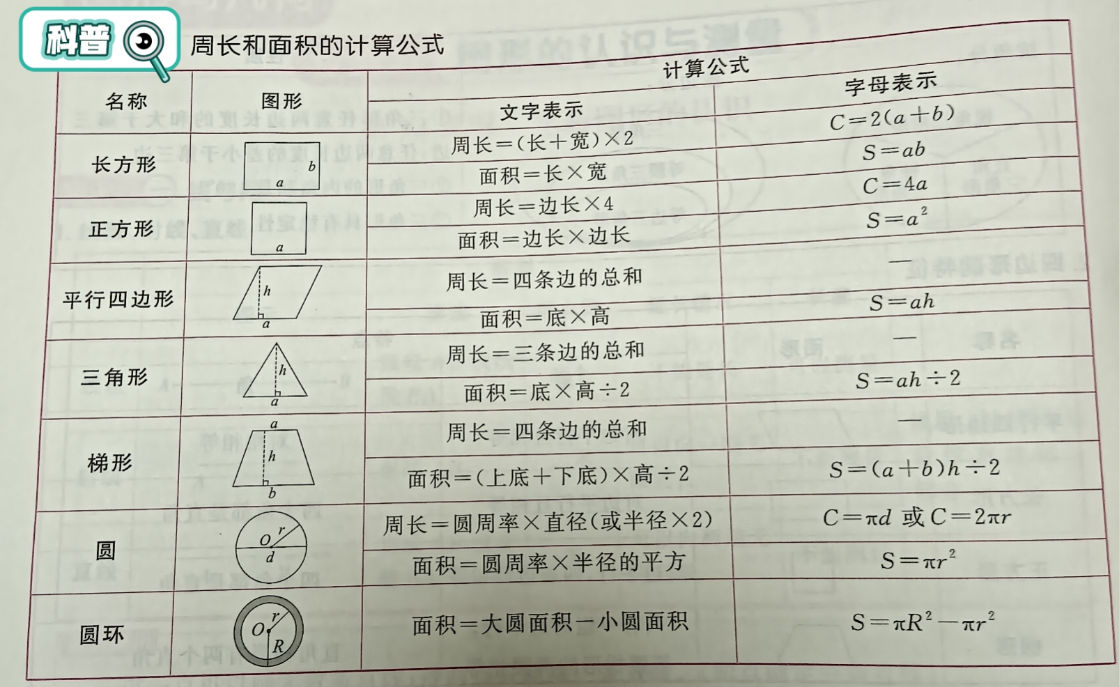 六年级数学