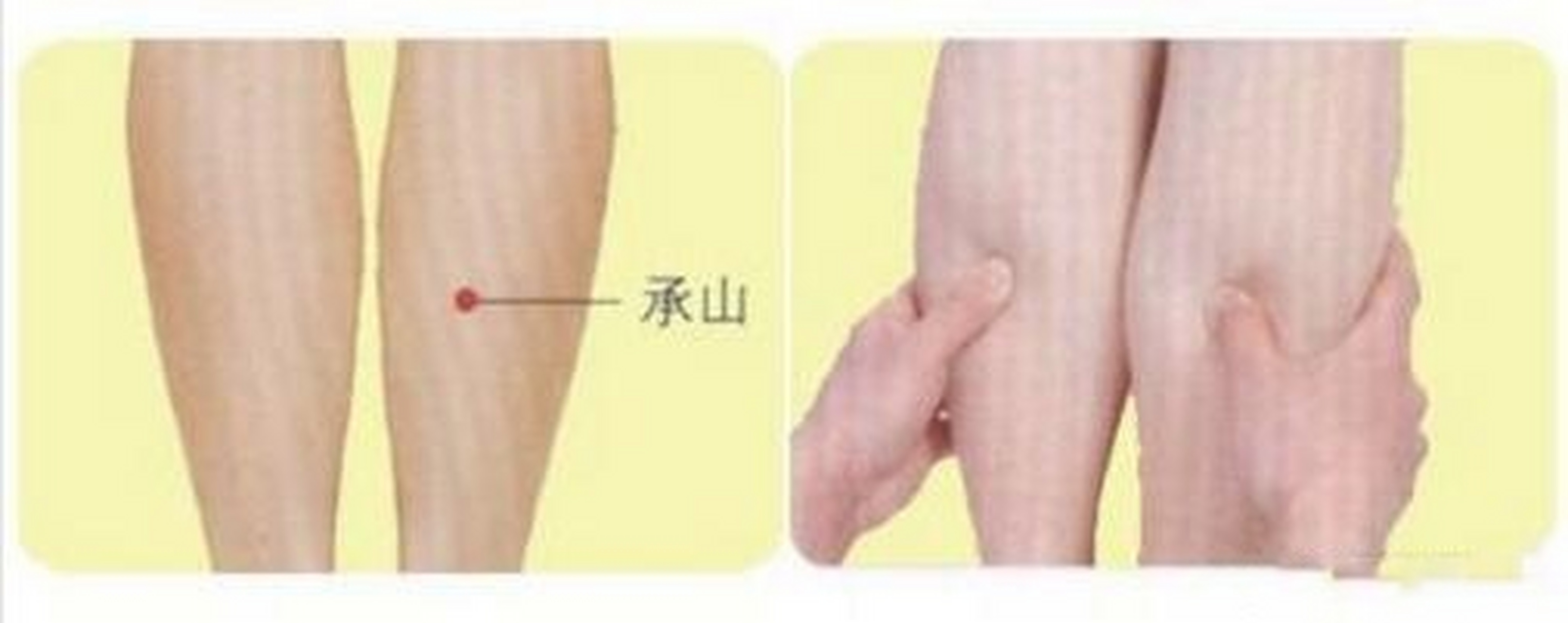 【十二经络39个易堵点——膀胱经"承山穴"】探查"承山穴"时可在小腿