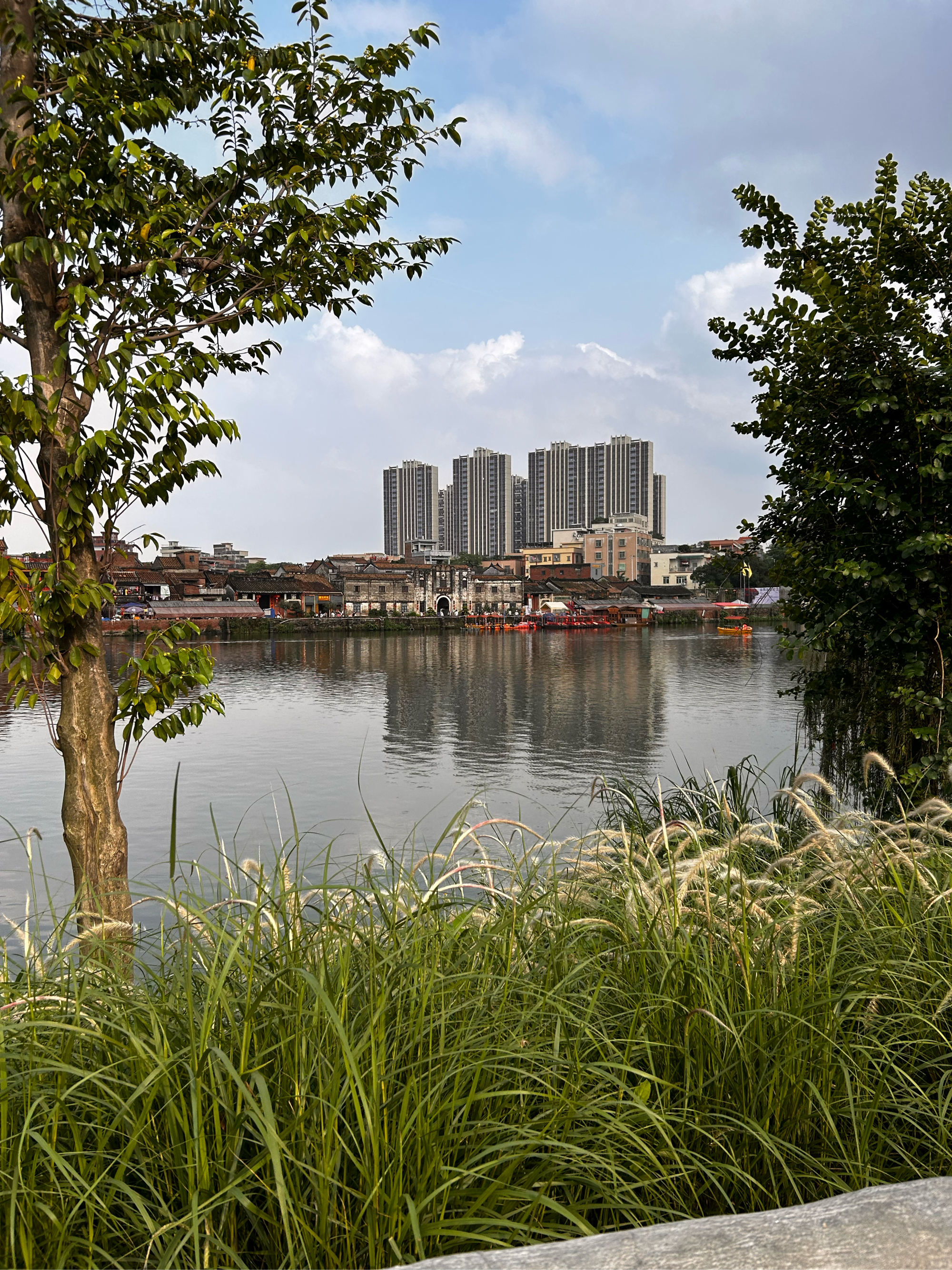 海口西溪里图片