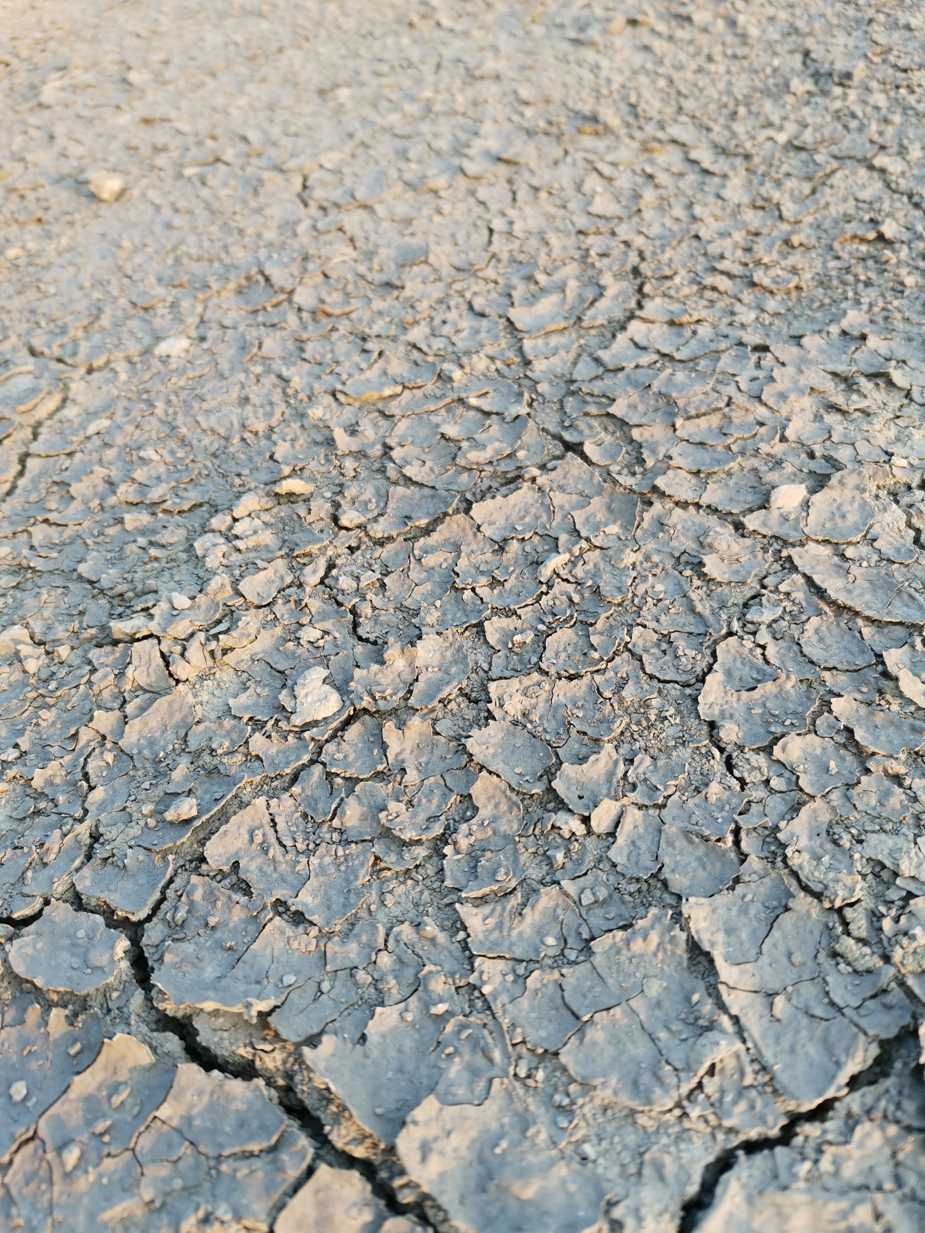 干枯的小河河底有一点点象沙漠