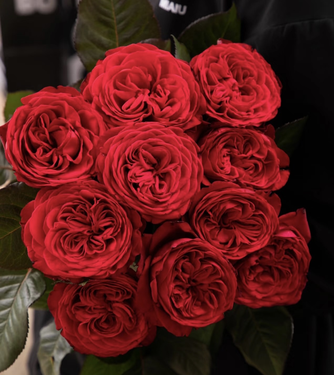 养成系鲜花图鉴