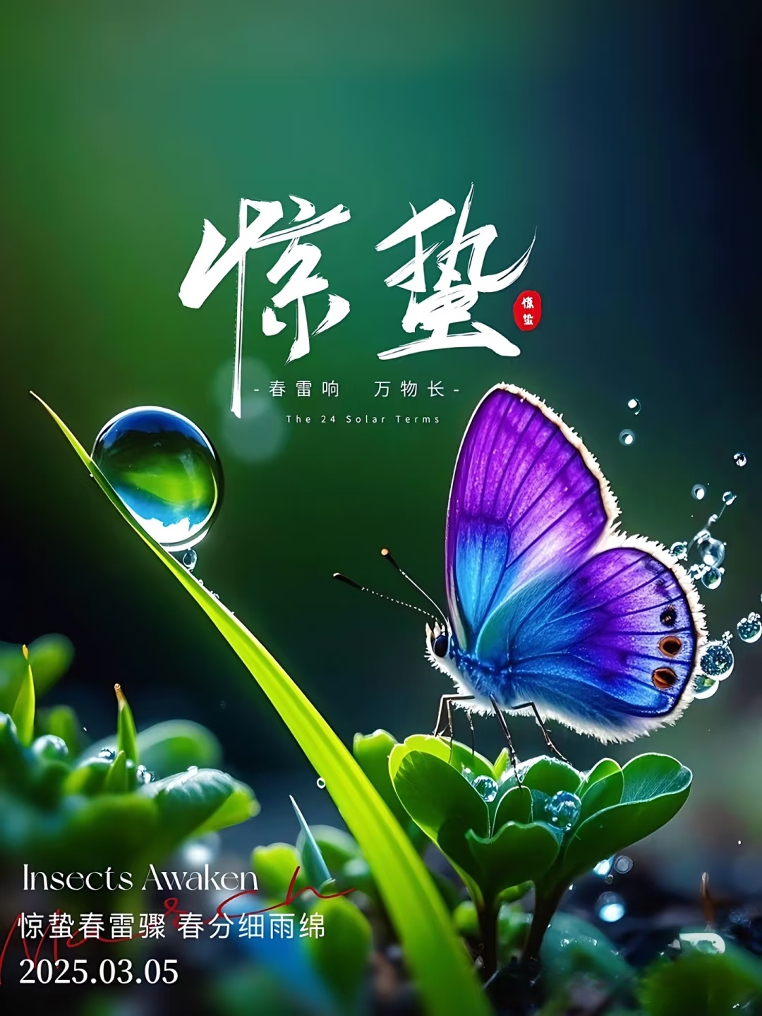 惊蛰的第一声雷,唤醒沉睡的大地,也叫醒了我们对生活的热爱