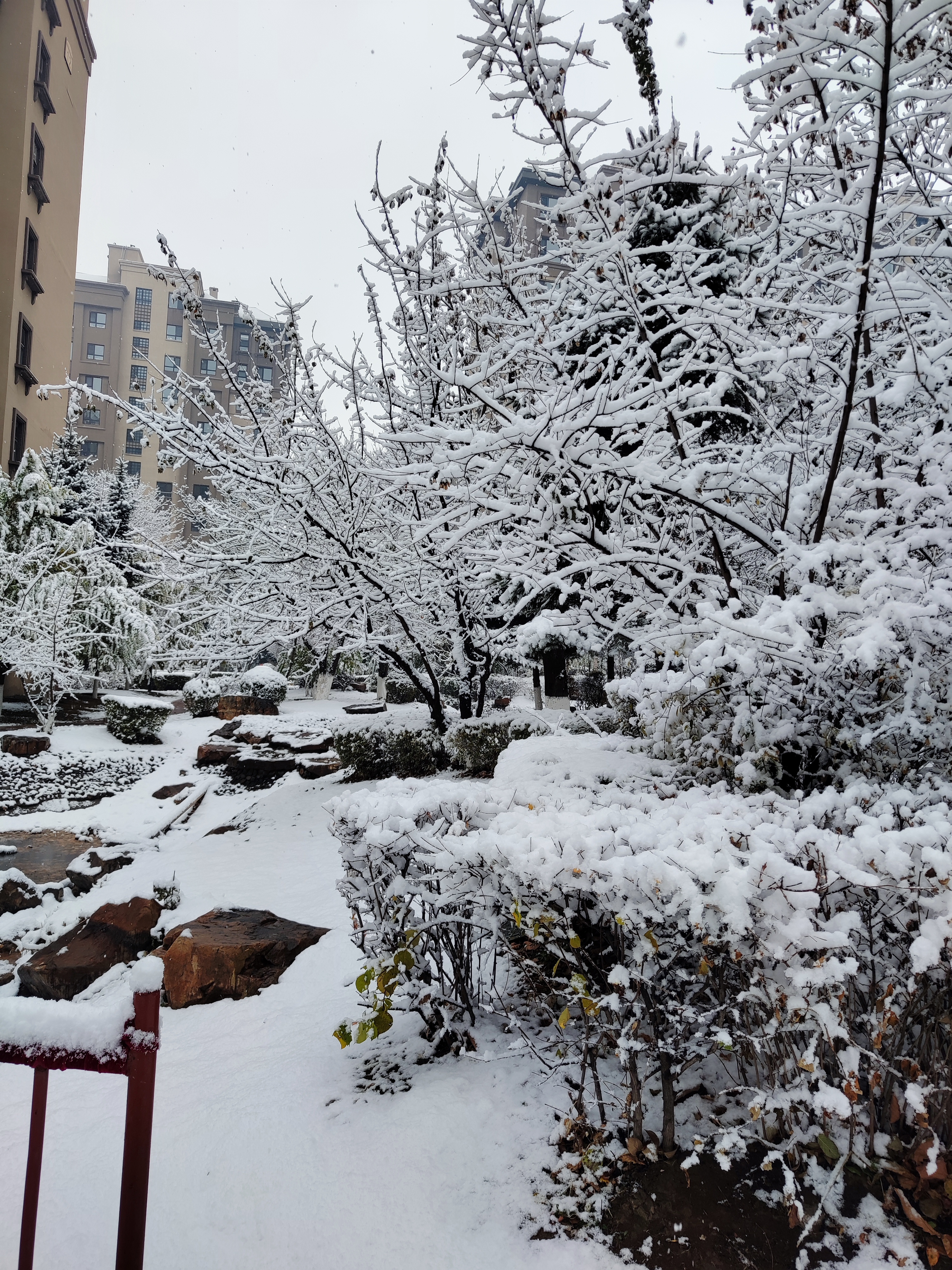 长春下雪图片图片