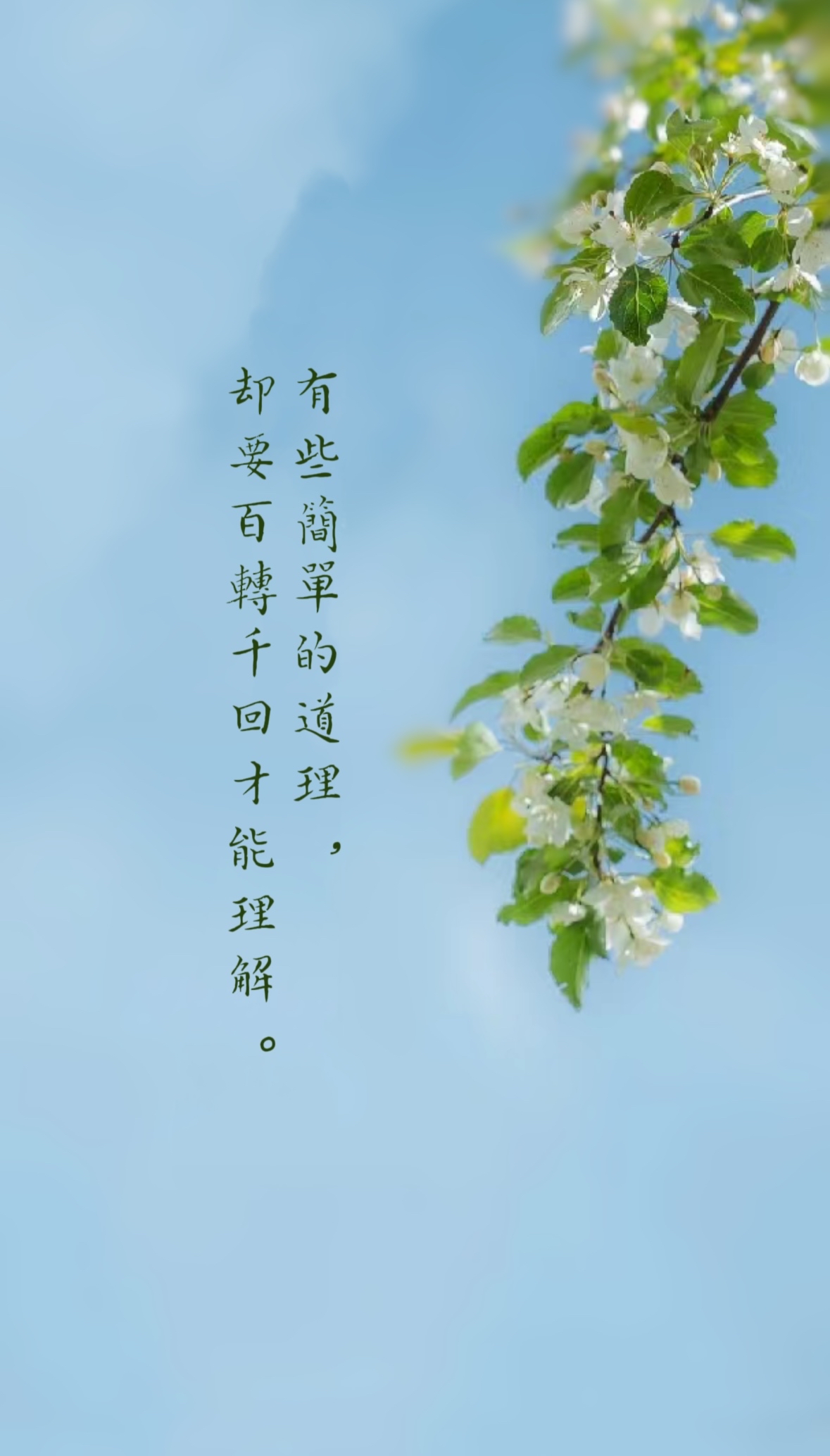 锋芒磨尽时