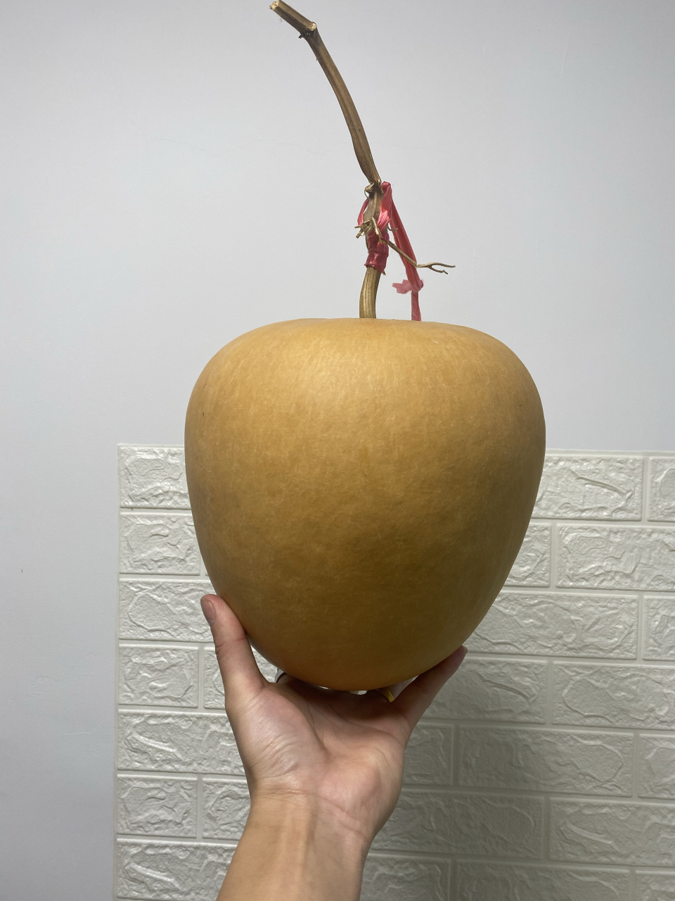 苹果葫芦天花板