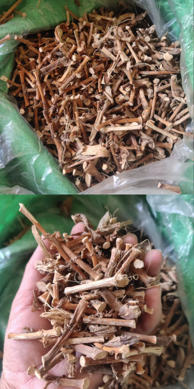 春砂仁根煲鸡汤,浓郁鲜香,暖心暖身.