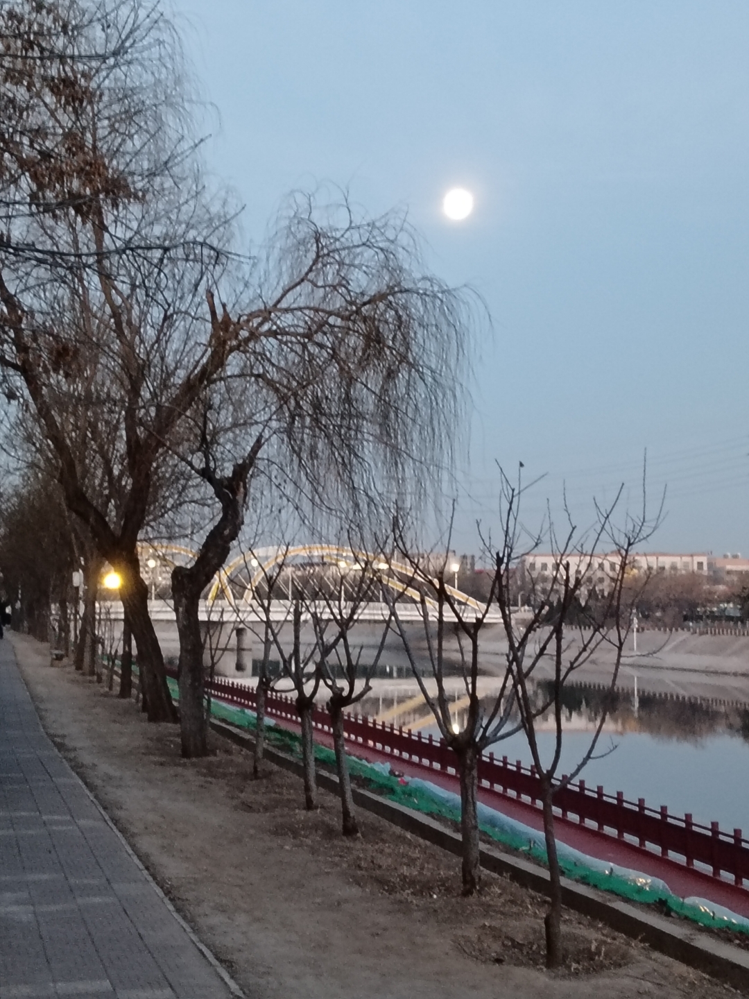 虹桥横跨波面光影映清流堤畔幽蹊闲步风拂寒枝轻舞夜色惹凝眸