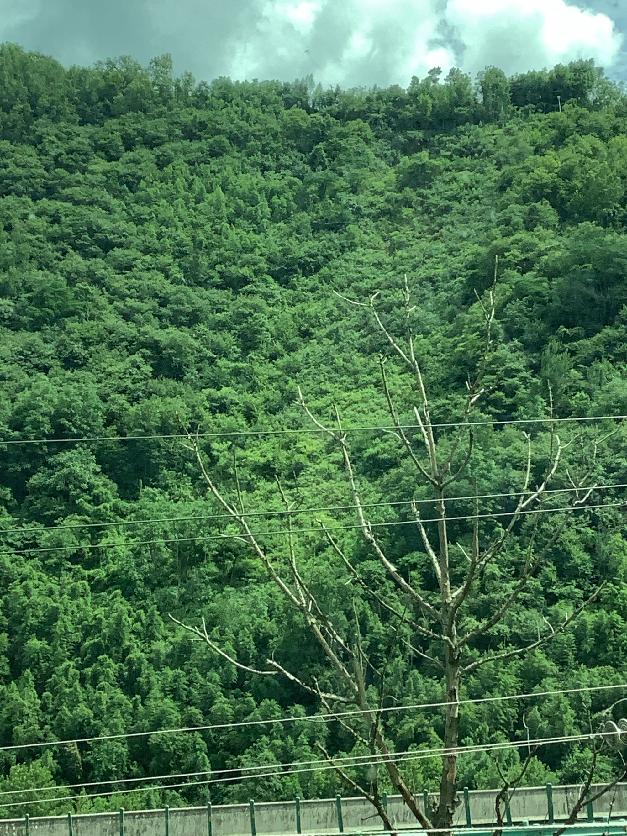 绿水青山!