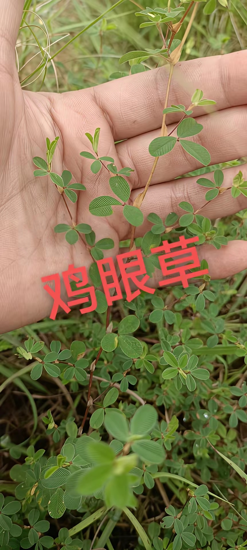 看了这么多认识几个,大自然的馈赠,治愈系风景,最美的风景在路上