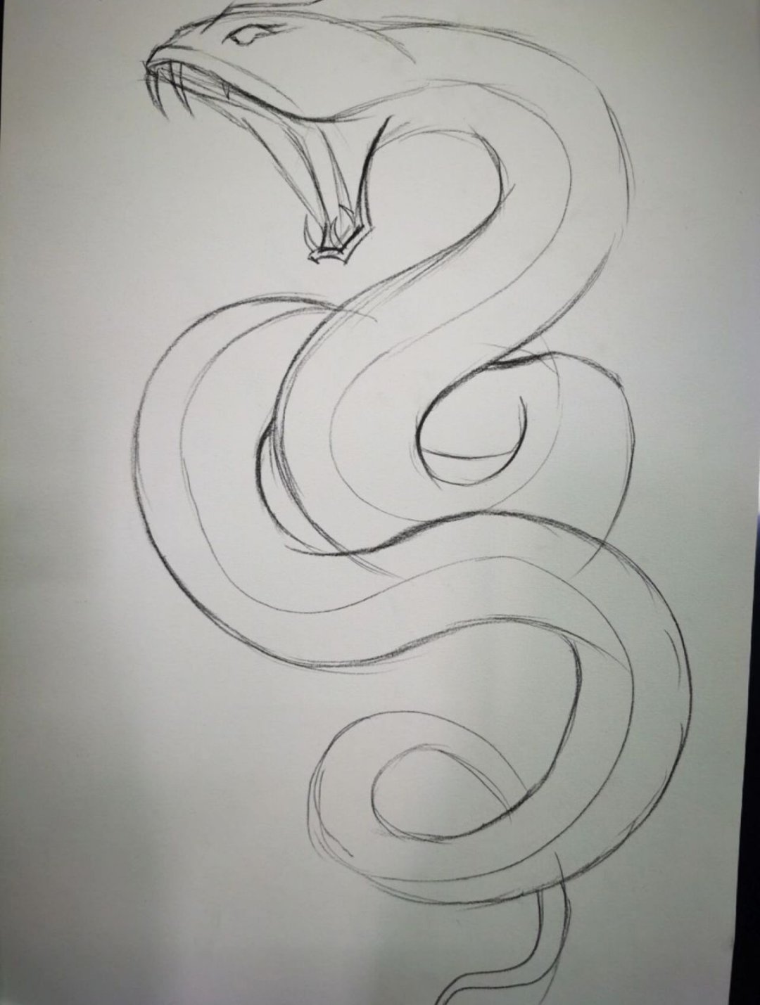 这蛇画得真有气势,卷曲的样子仿佛随时能扑上来