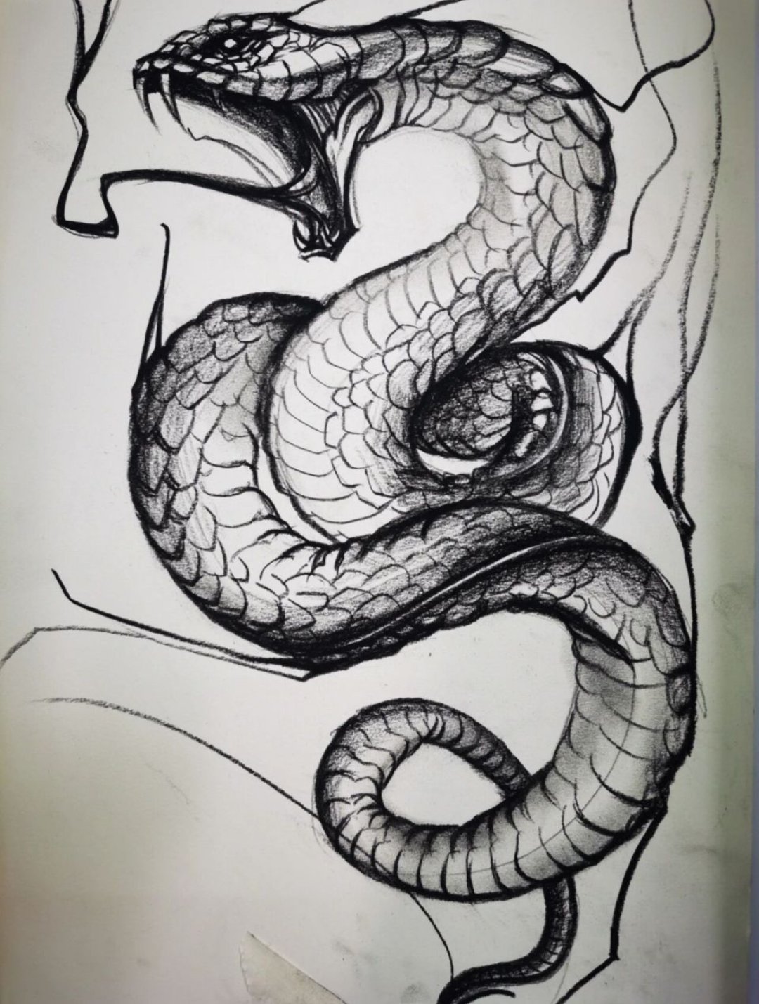 这蛇画得真有气势,卷曲的样子仿佛随时能扑上来