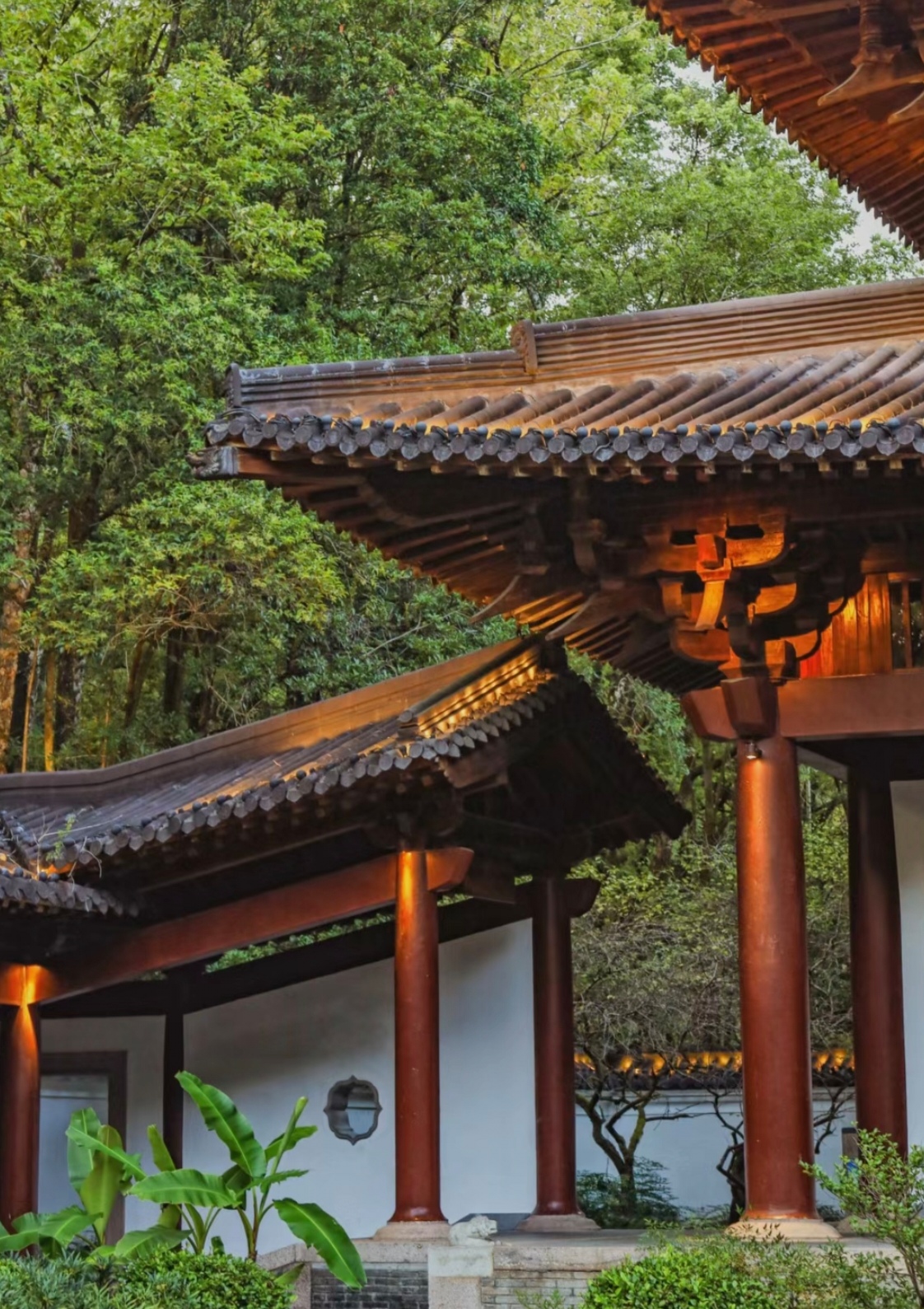 游玩# #打卡#  来武夷山玩的小伙伴可一定要来打卡一下,这个武夷宫哦 