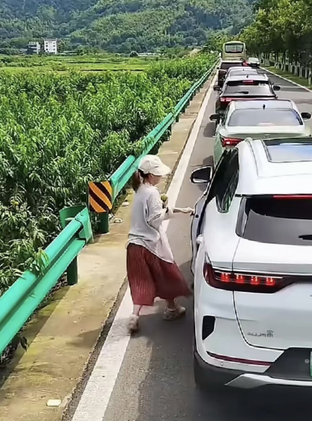这个女的现在在网上超火,就因为在路上堵车的时候,她看见一片桃林,就