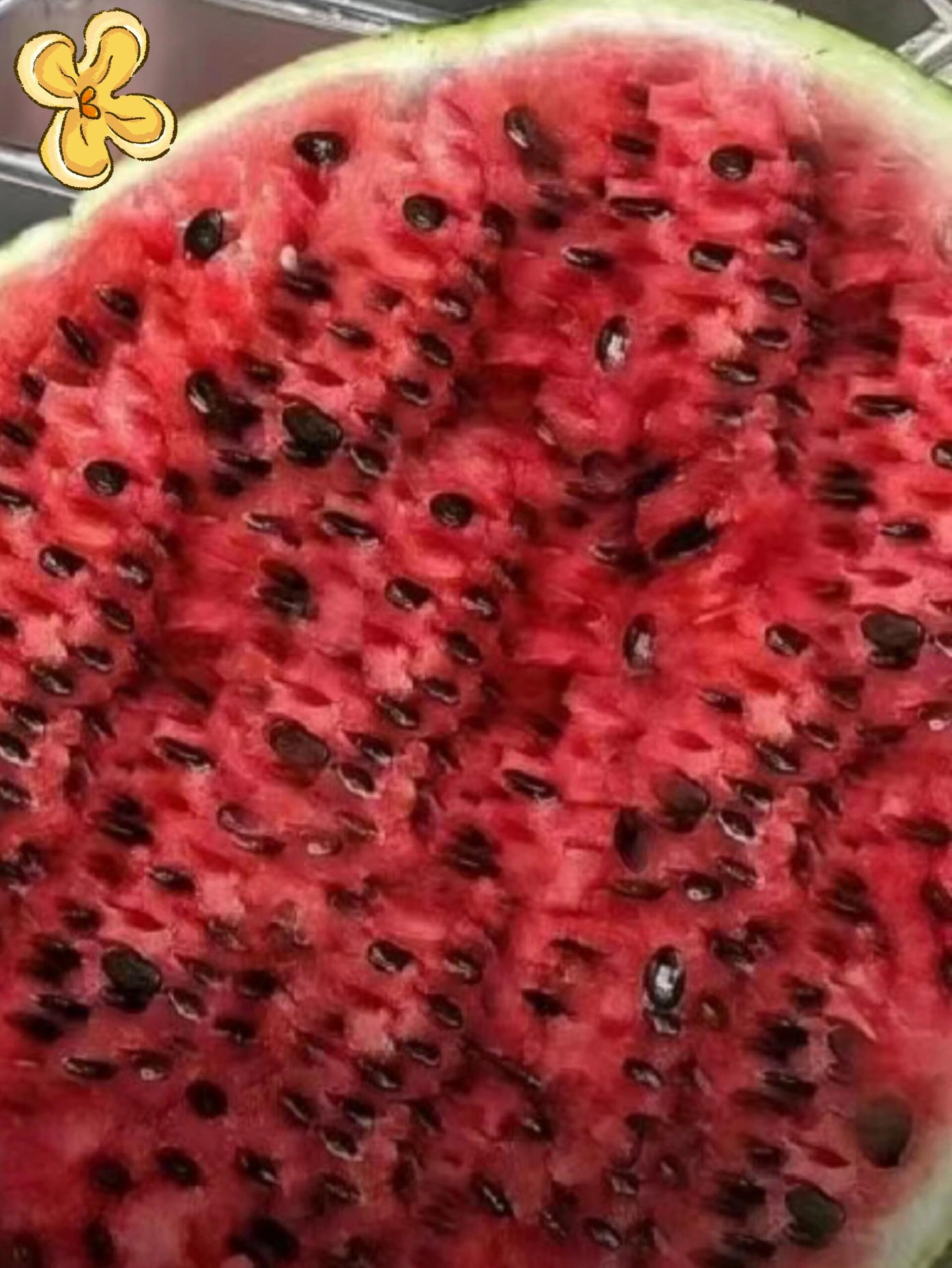 这种西瓜该怎么吃