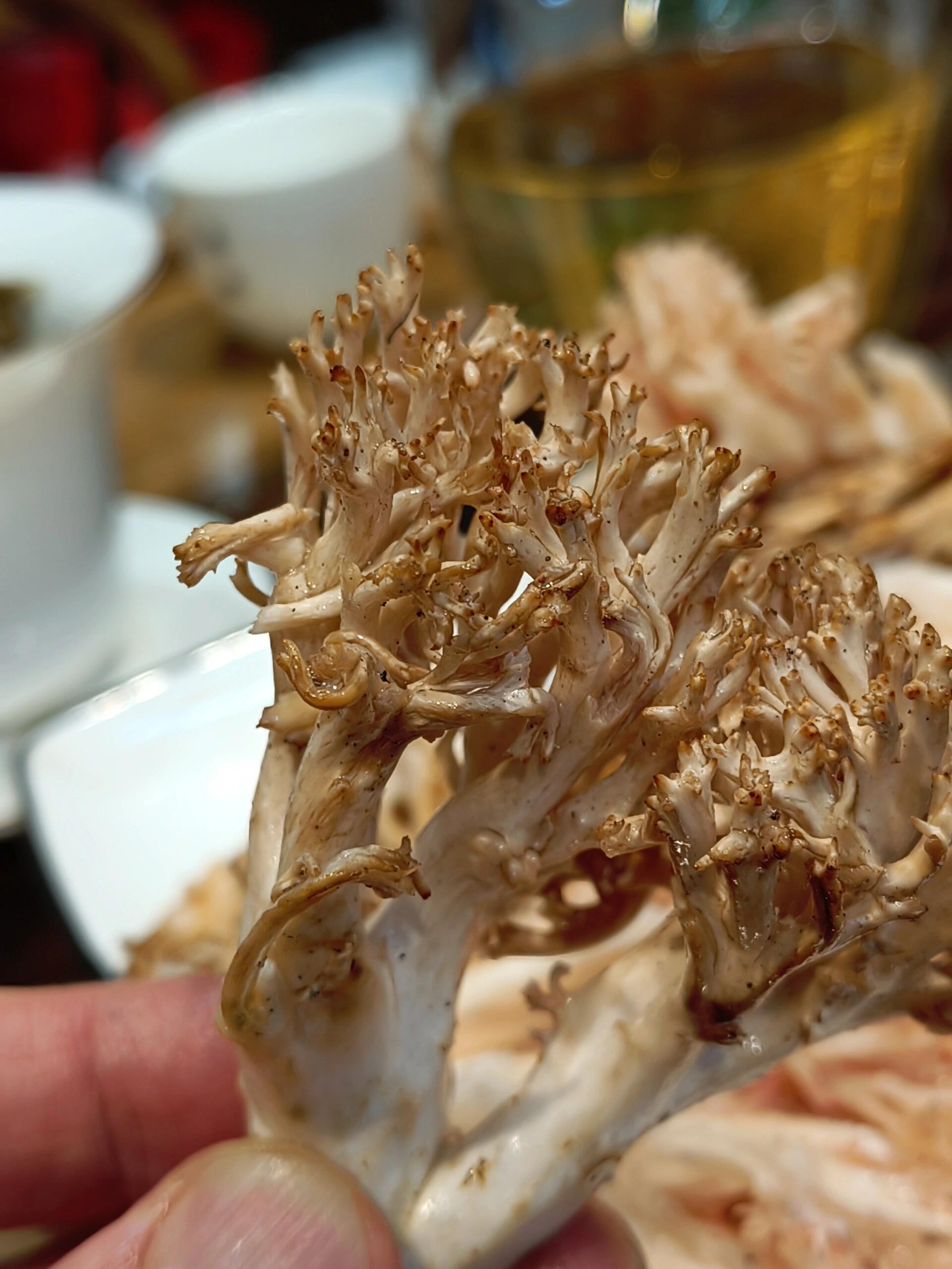 解锁珊瑚菌新吃法