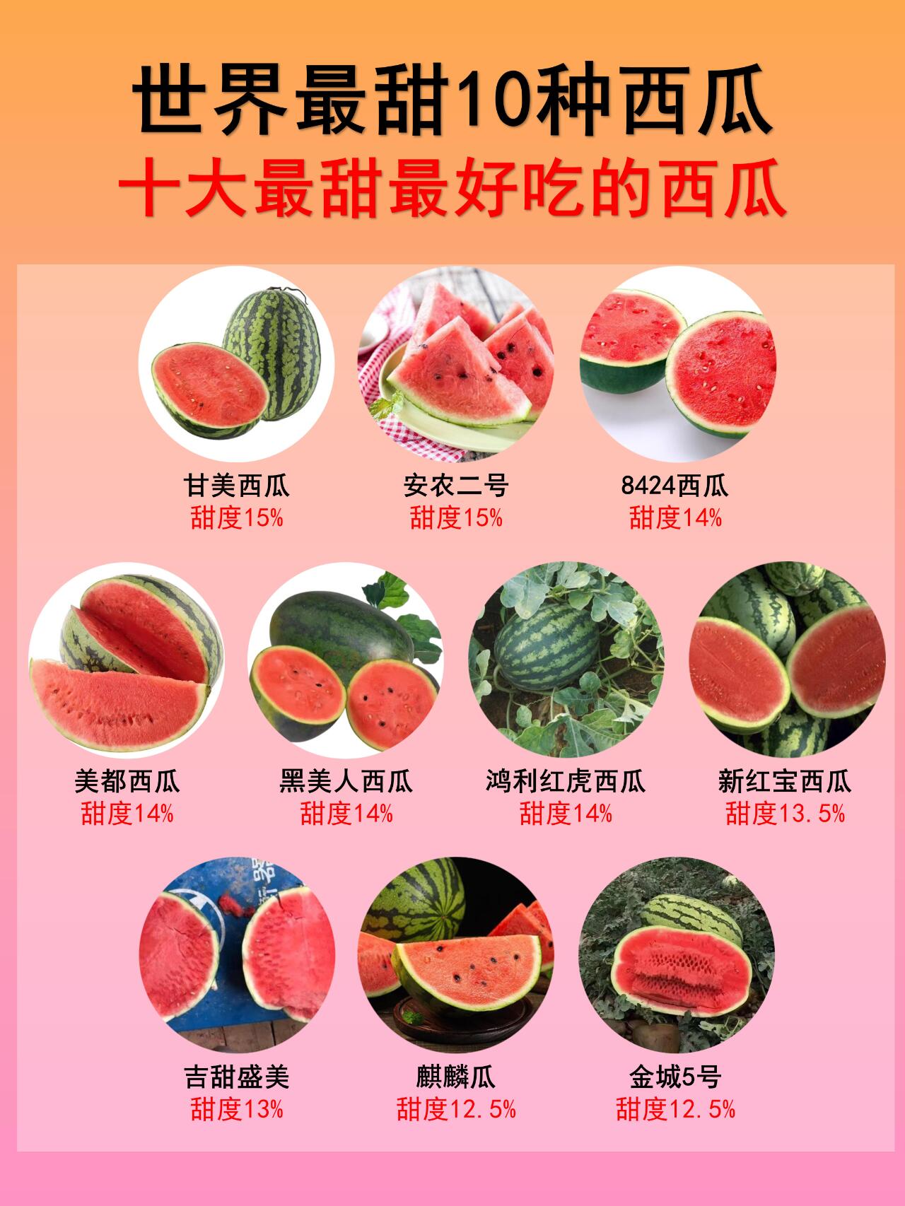 世界最甜的10个西瓜品种,夏天来块冰镇西瓜