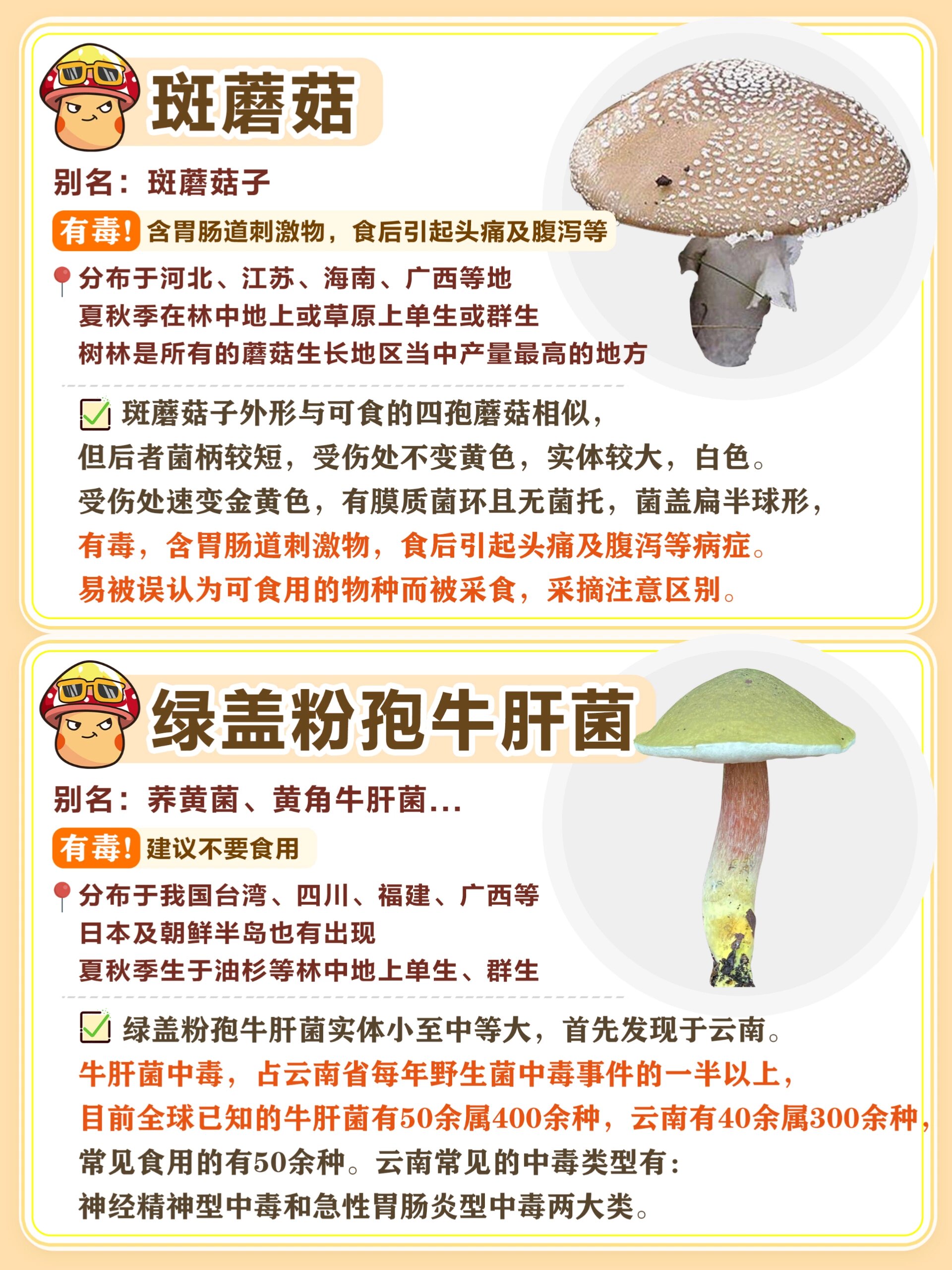 千万不能吃的有毒菌菇96常见毒蘑菇列表75#路边野餐看天下